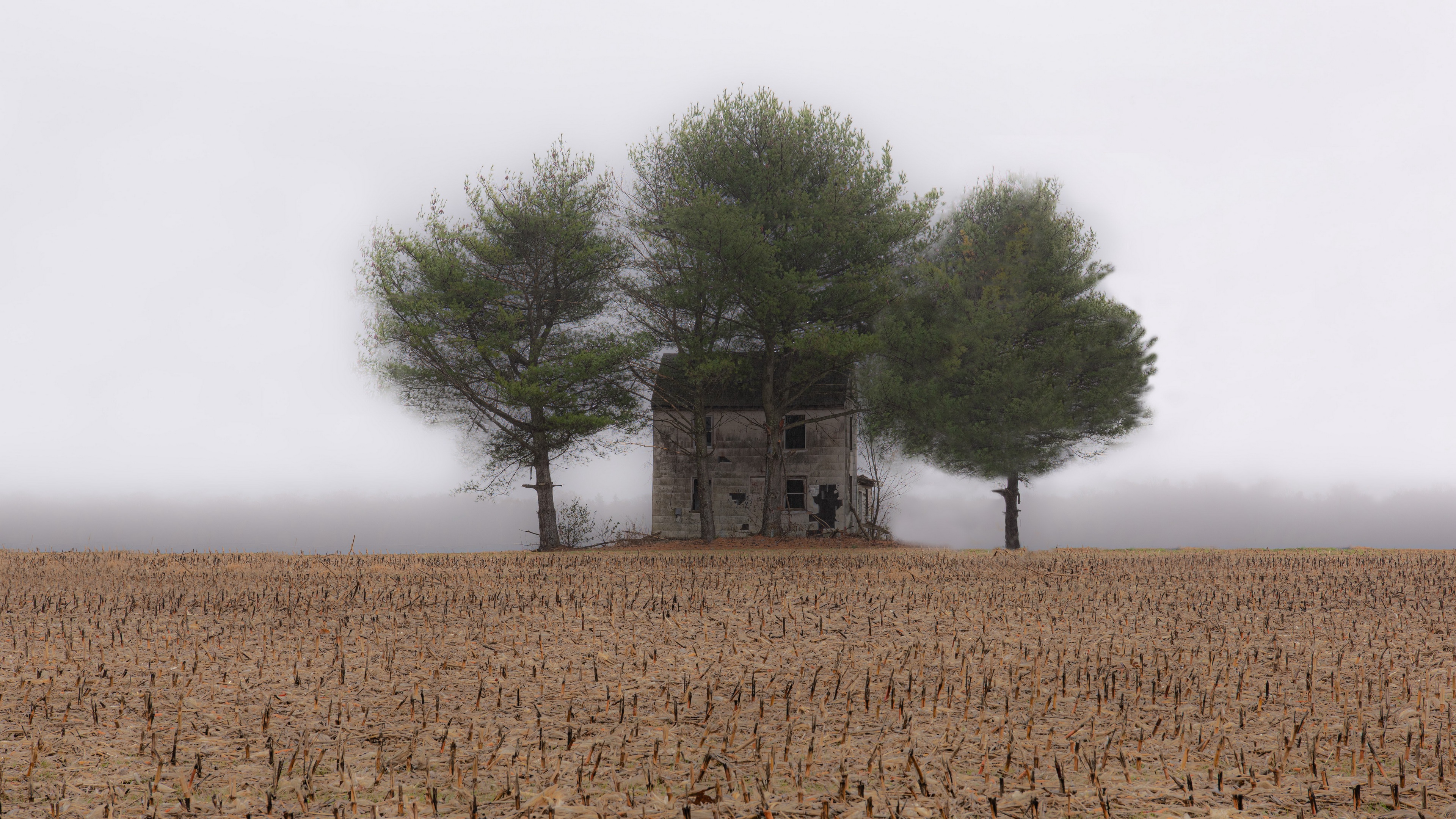 Free download wallpaper Fog, House, Field, Man Made on your PC desktop