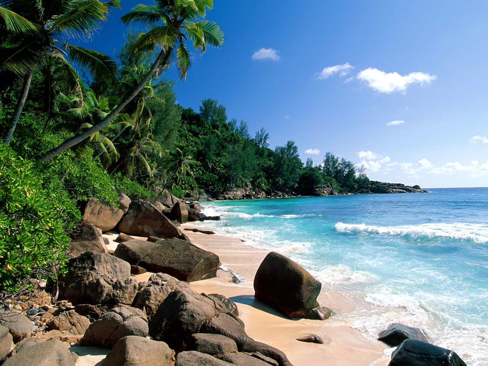 10947 Bild herunterladen sommer, landschaft, bäume, sea, strand, palms - Hintergrundbilder und Bildschirmschoner kostenlos