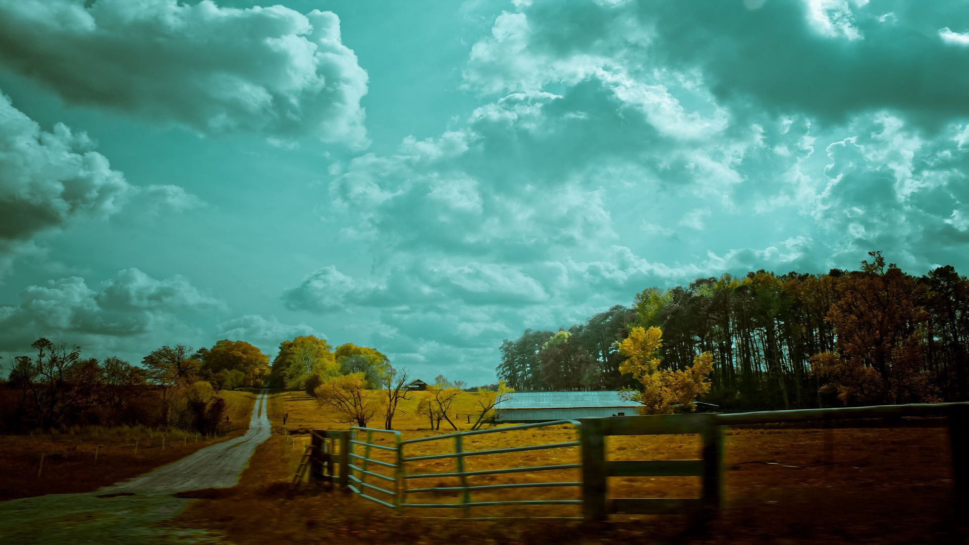 nature, sky, autumn, road, colors, color, fence, mainly cloudy, overcast, paints 5K