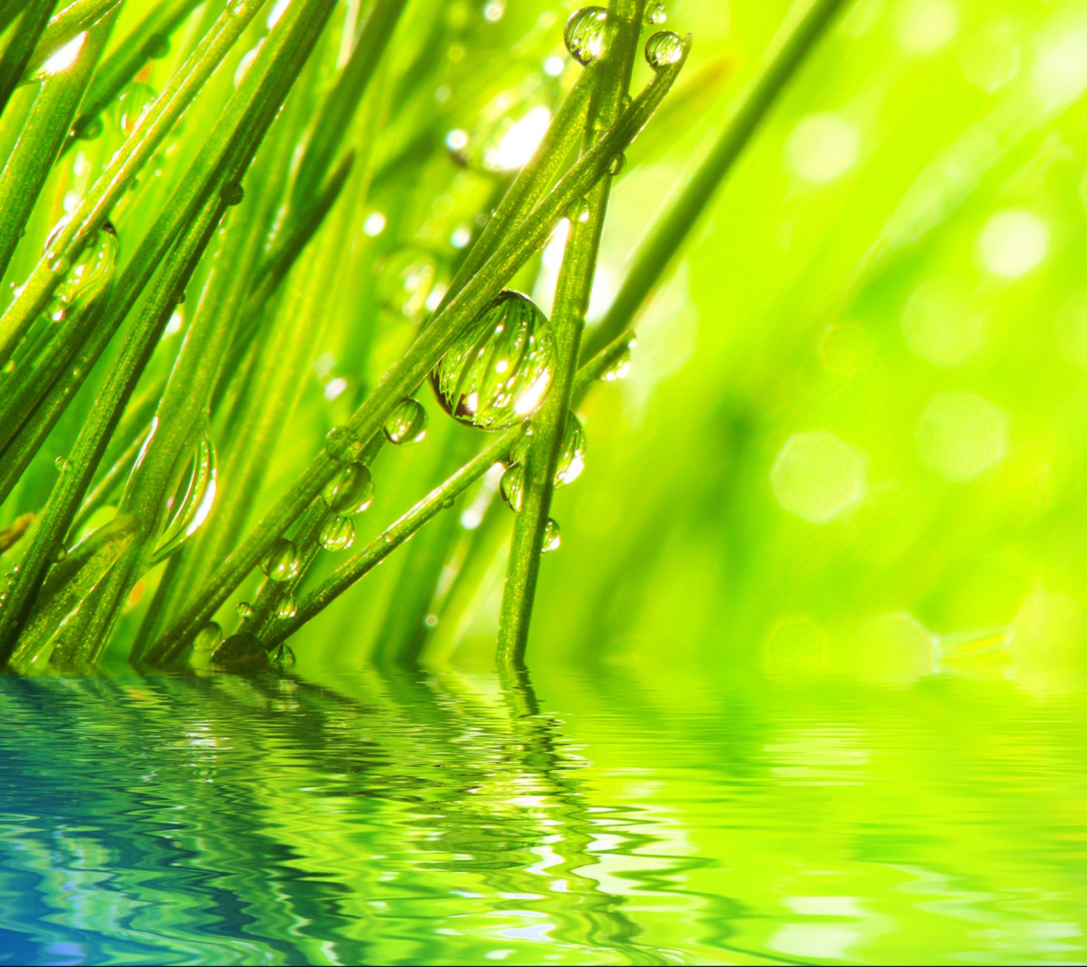1208509 free download Green wallpapers for phone,  Green images and screensavers for mobile