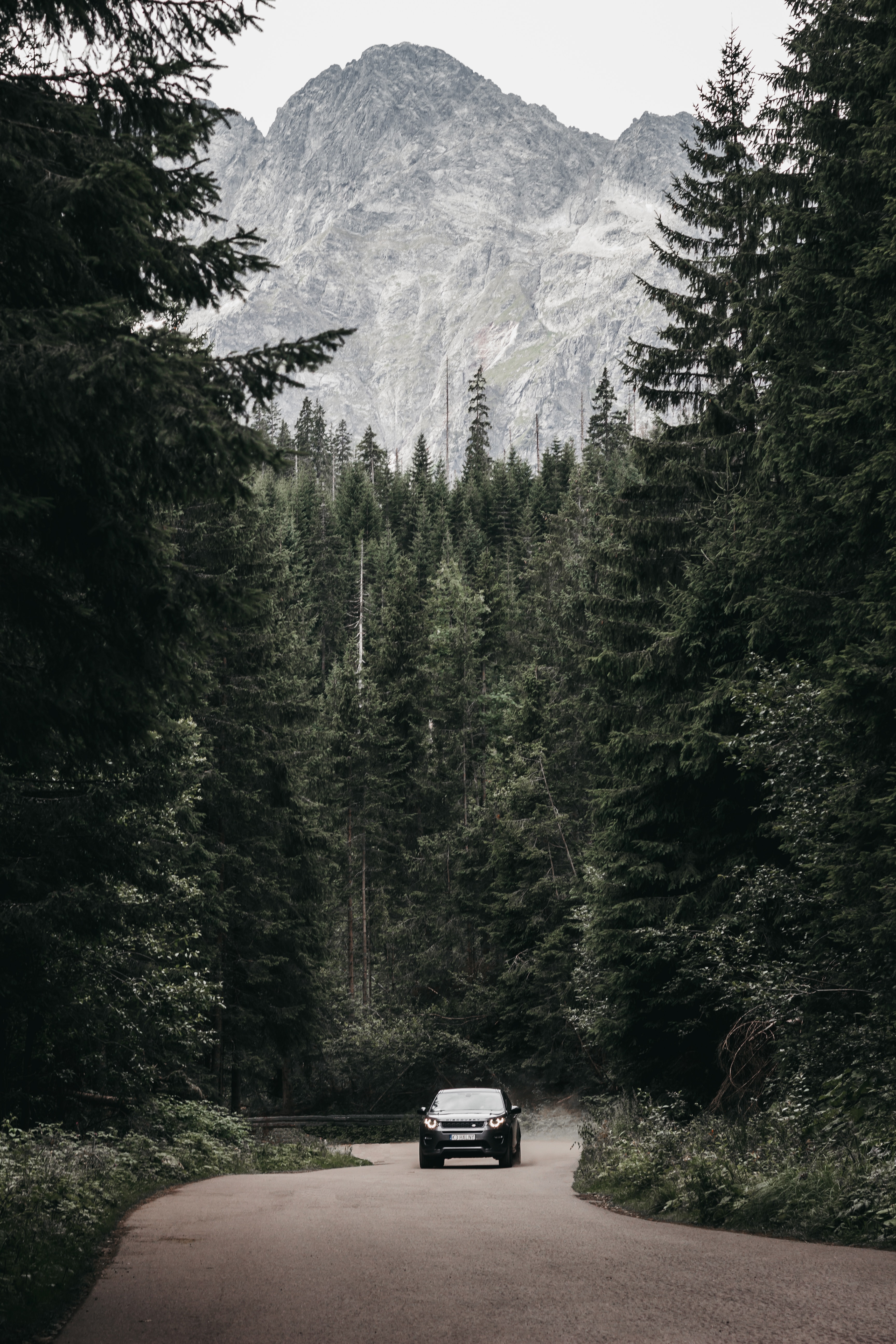Download mobile wallpaper Forest, Mountains, Road, Car, Machine, Cars, Suv for free.