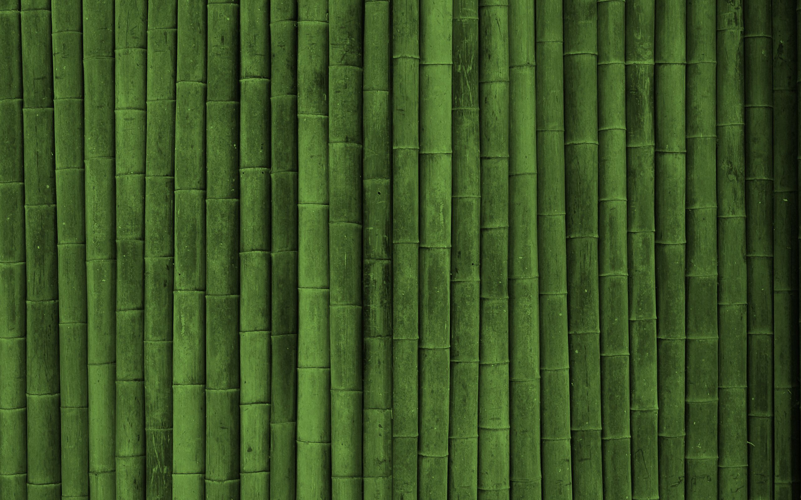 HD Bamboo Android Images