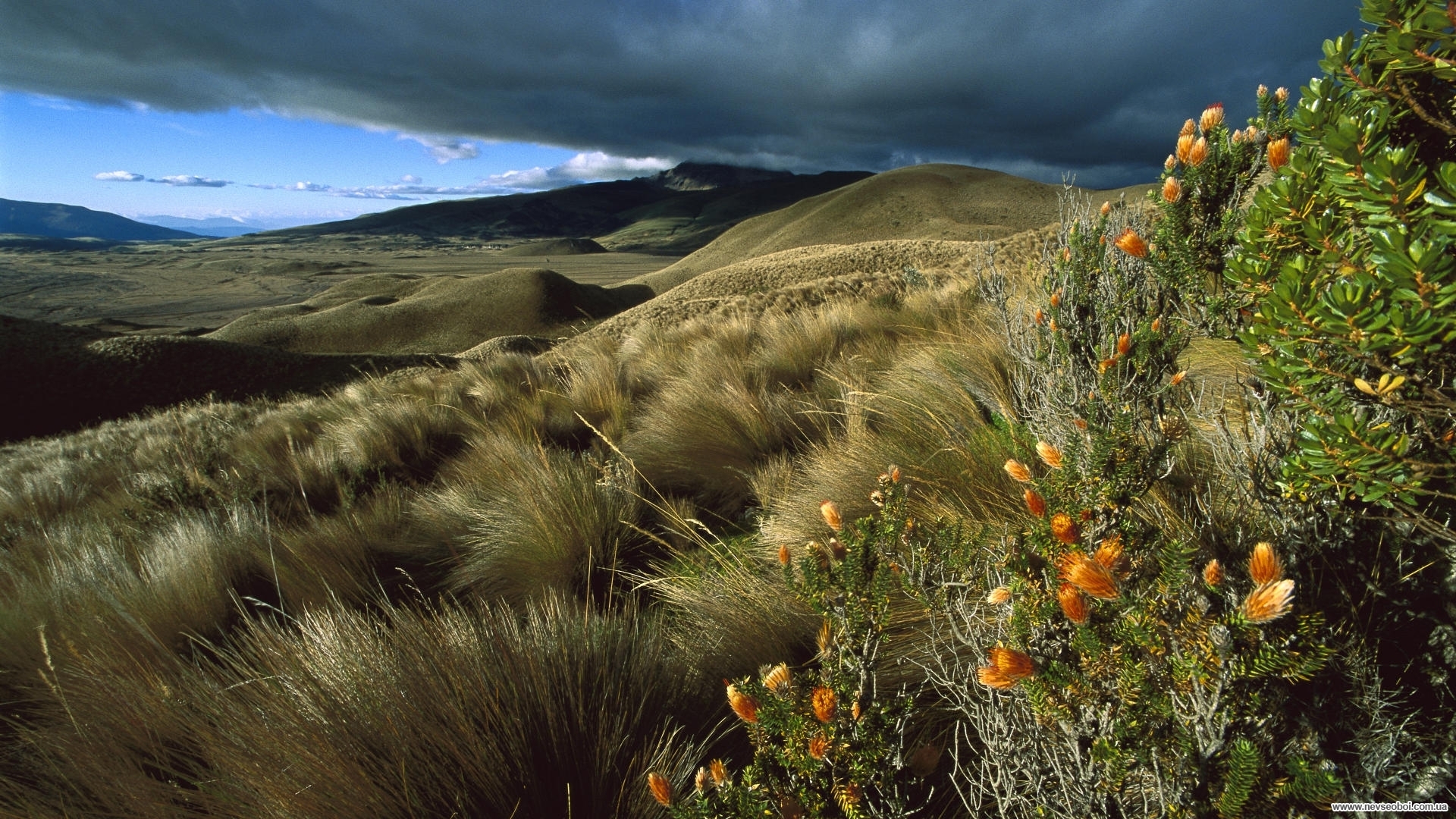 Handy-Wallpaper Clouds, Landschaft, Grass, Mountains, Felder kostenlos herunterladen.
