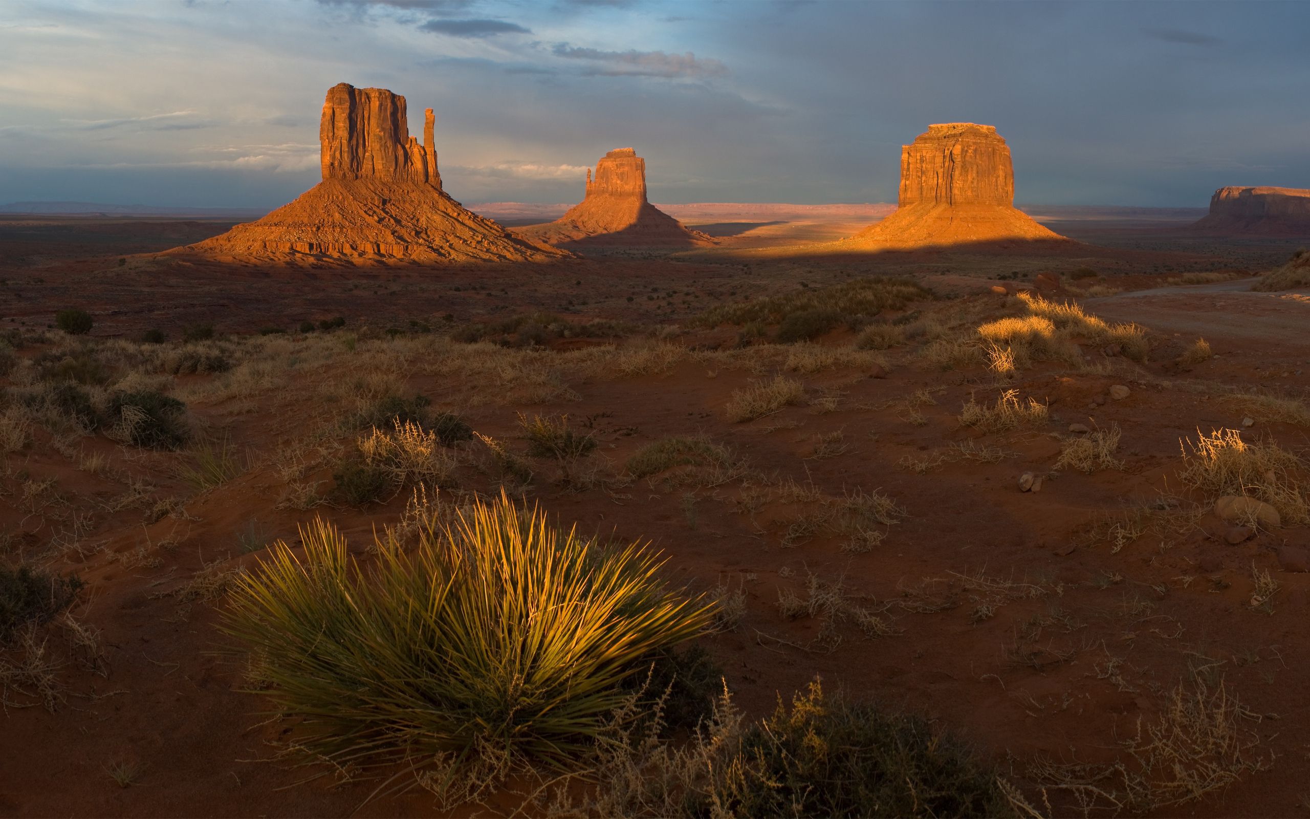 Laden Sie das Wüste, Vegetation, Schatten, Abend, Schluchten, Natur-Bild kostenlos auf Ihren PC-Desktop herunter