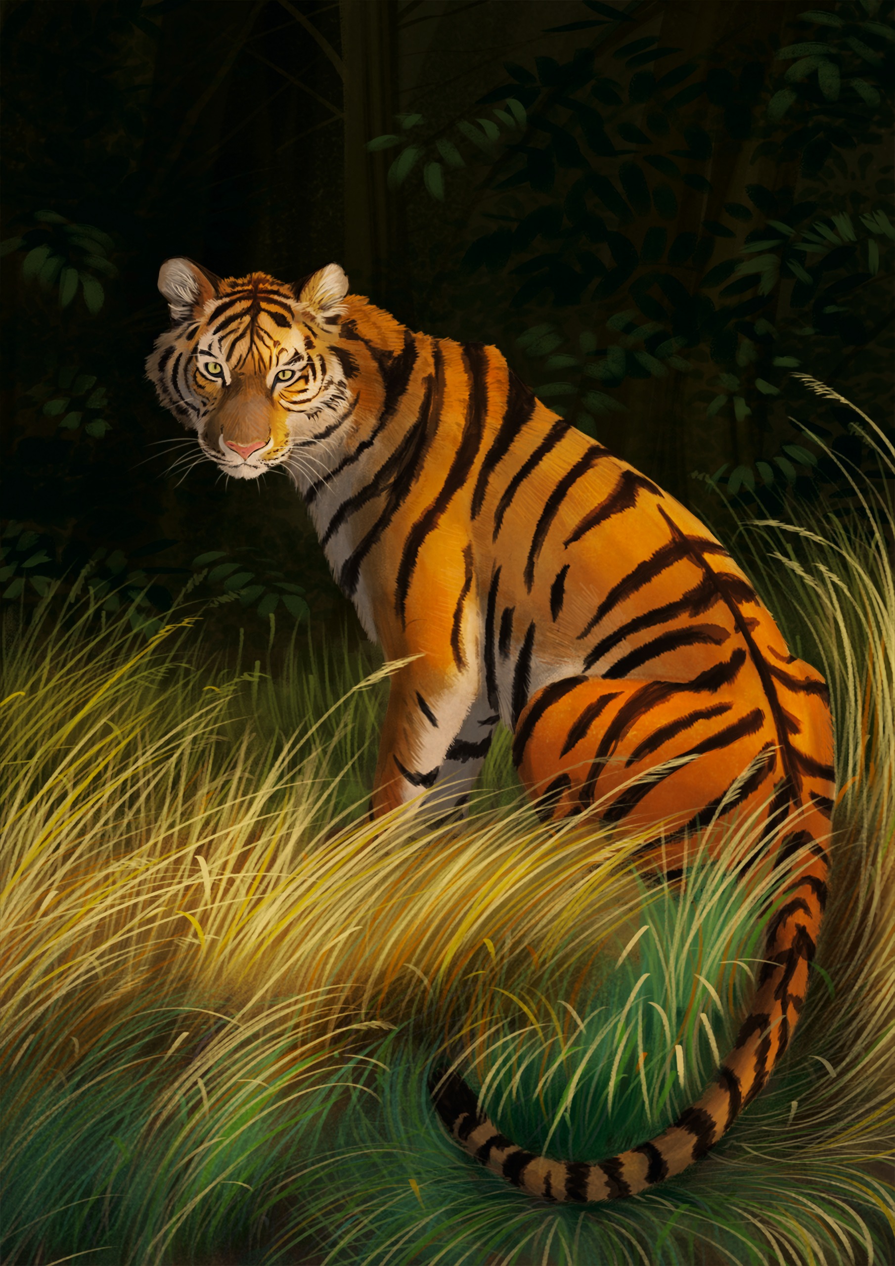 Download mobile wallpaper Grass, Striped, Predator, Tiger, Art for free.