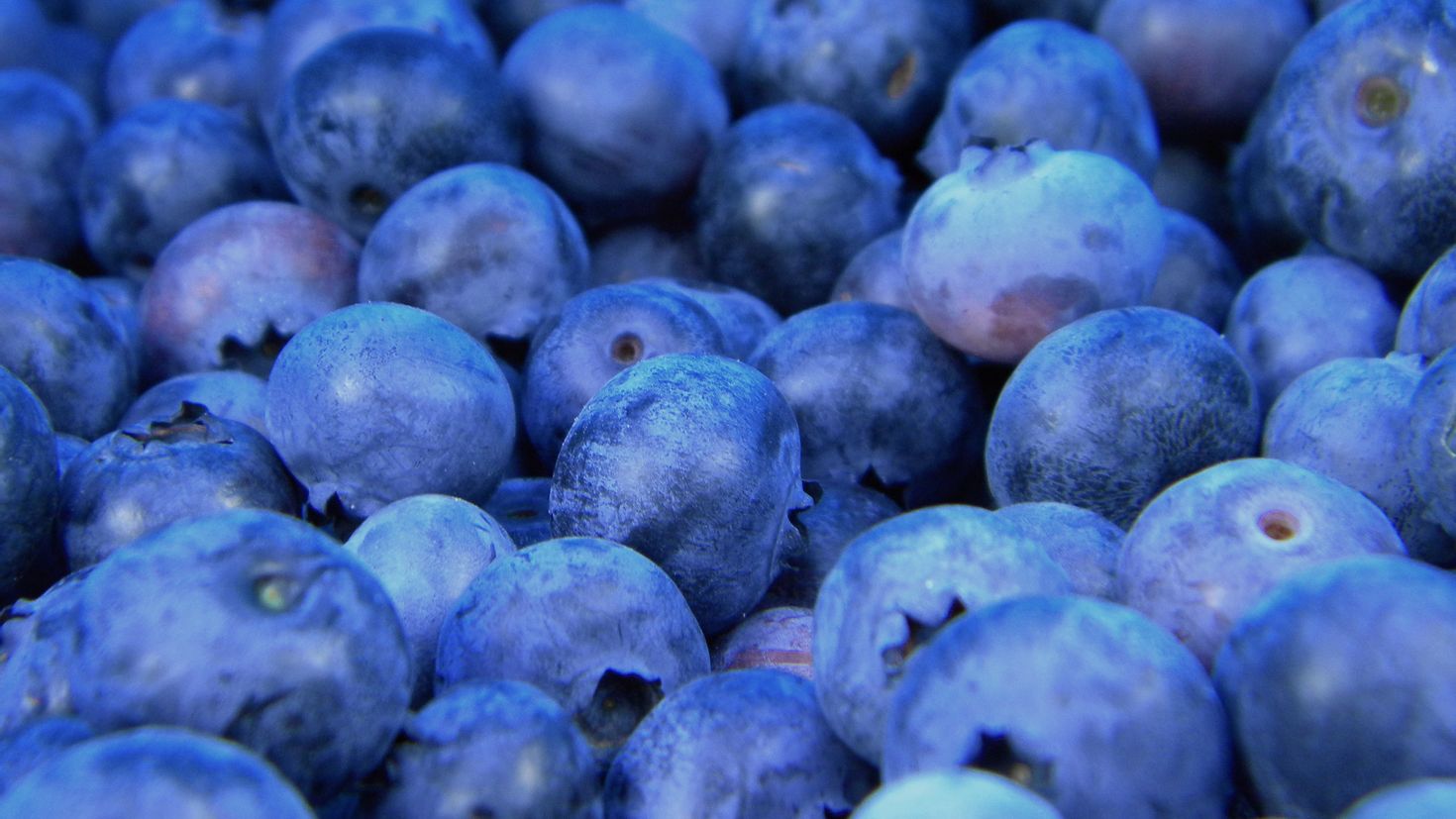 Синие фрукты и ягоды
