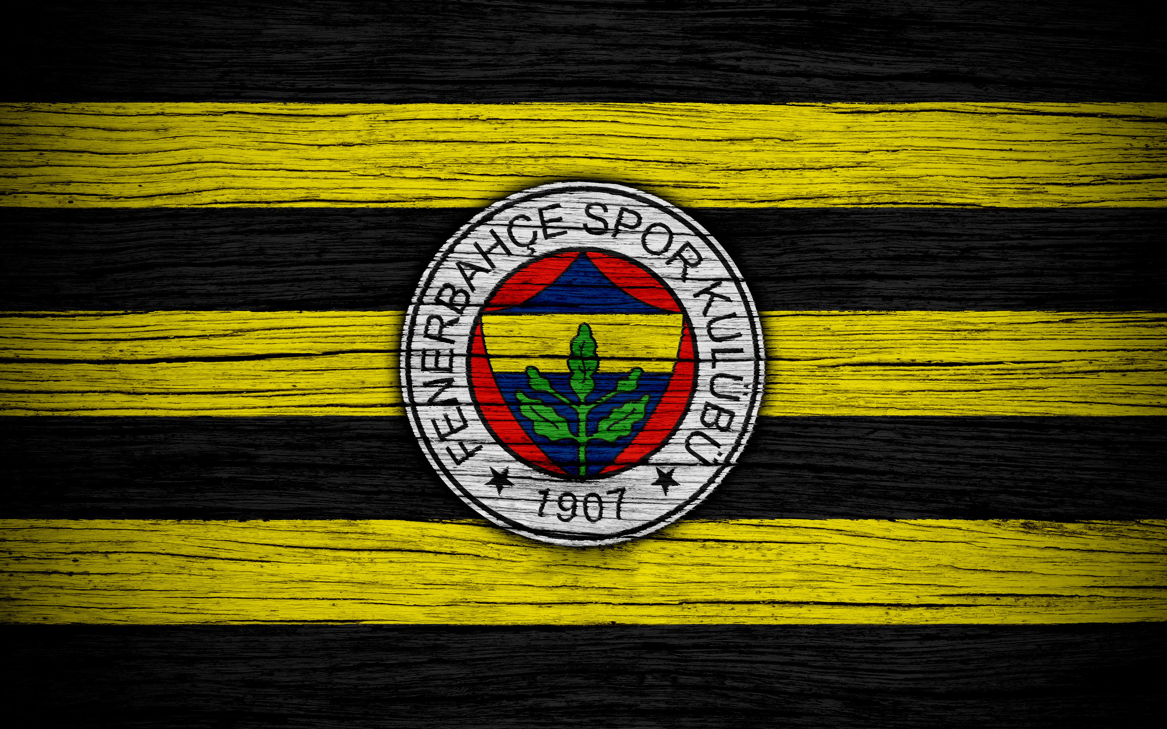 Laden Sie Fenerbahçe Istanbul HD-Desktop-Hintergründe herunter