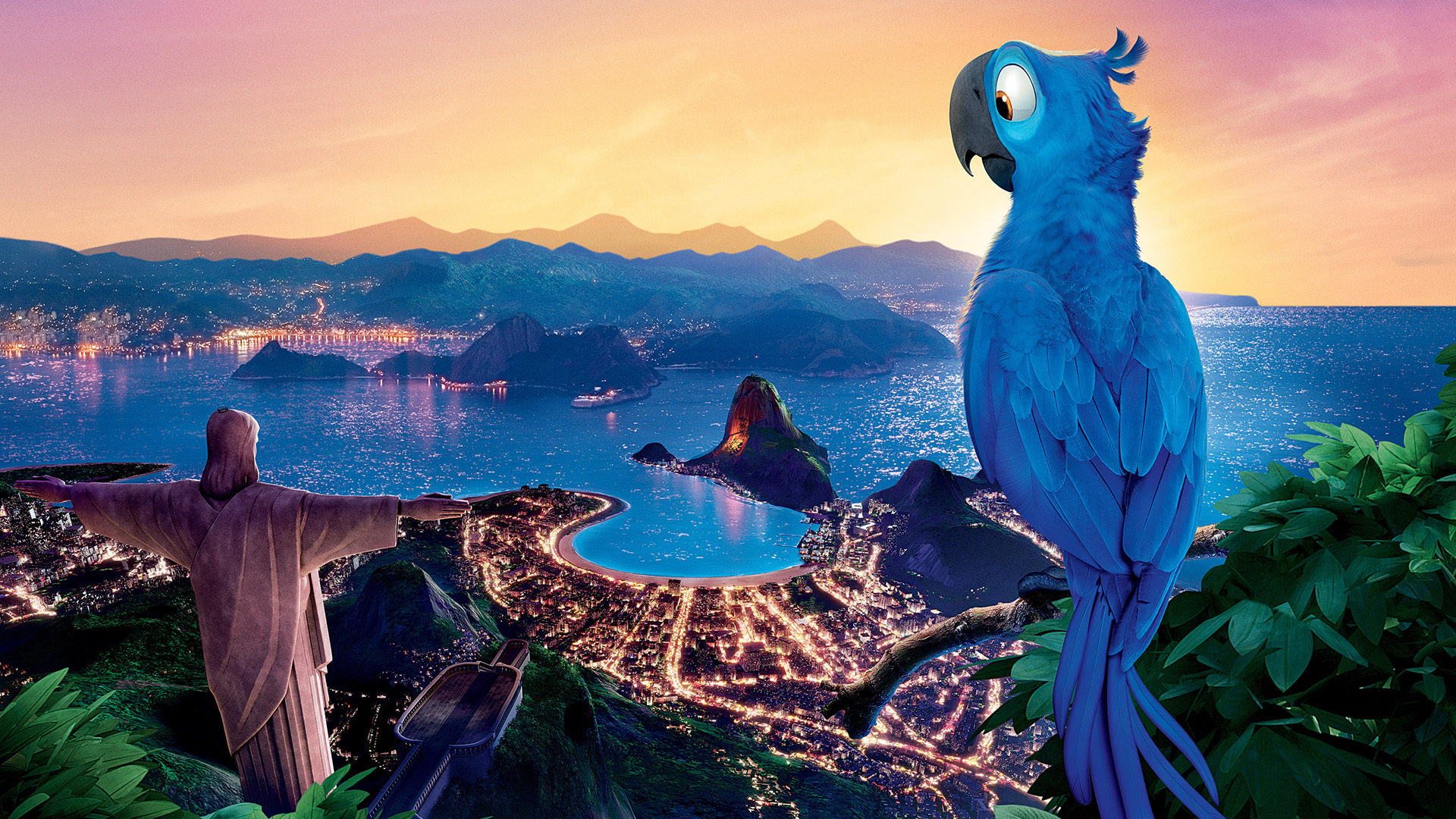 Рио де Жанейро попугаи мультик