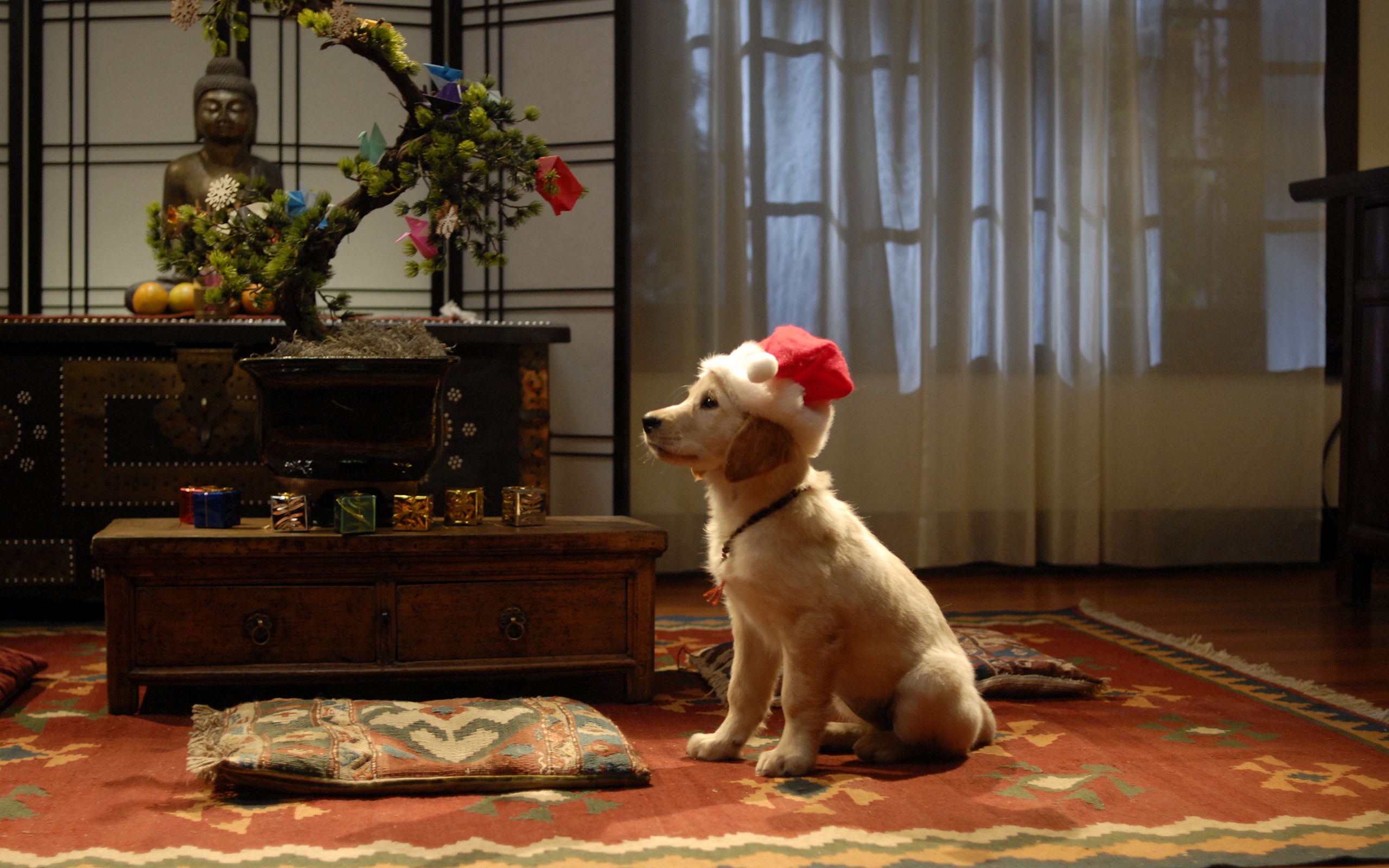 santa hat, movie, santa buddies, bonsai, christmas, dog, labrador retriever HD wallpaper