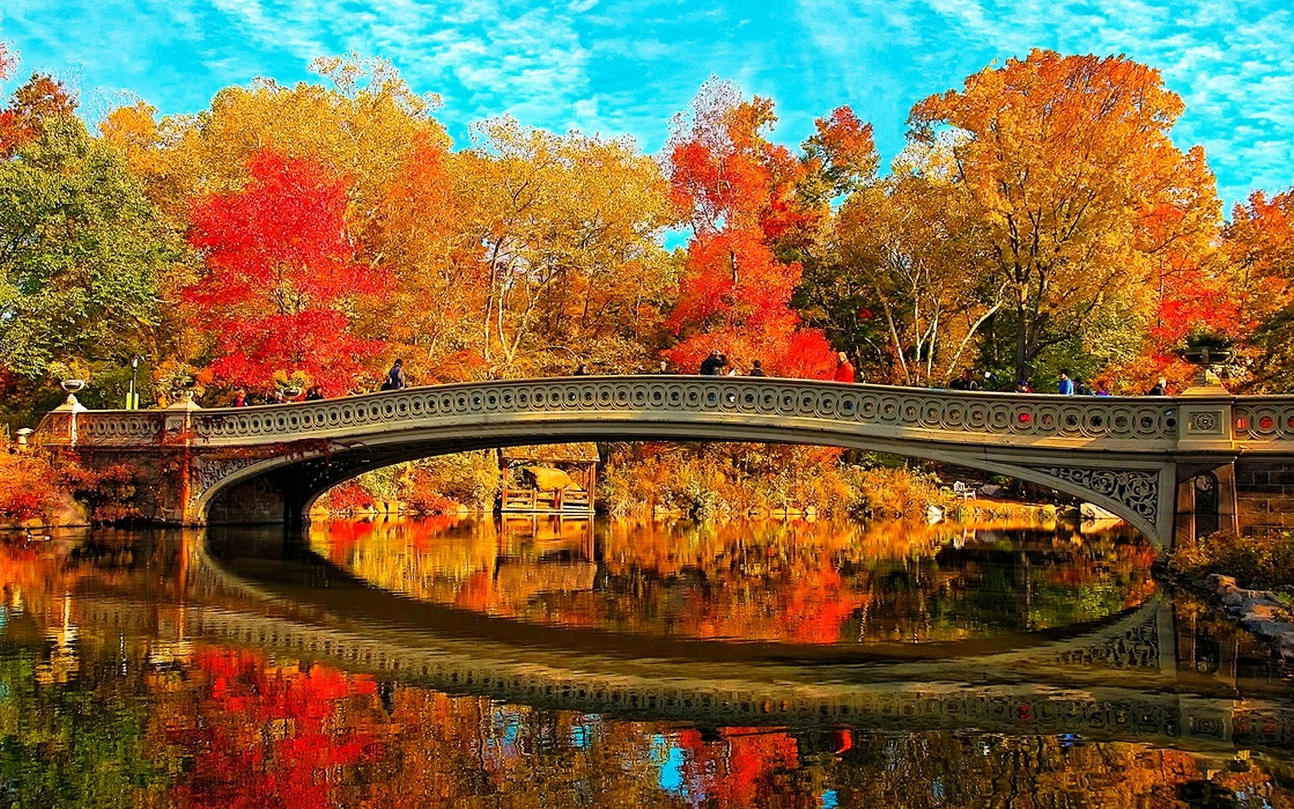 Красивые осенние картинки. Золотая осень парк мостик. Красивая осень. Осенний парк. Осень мост.