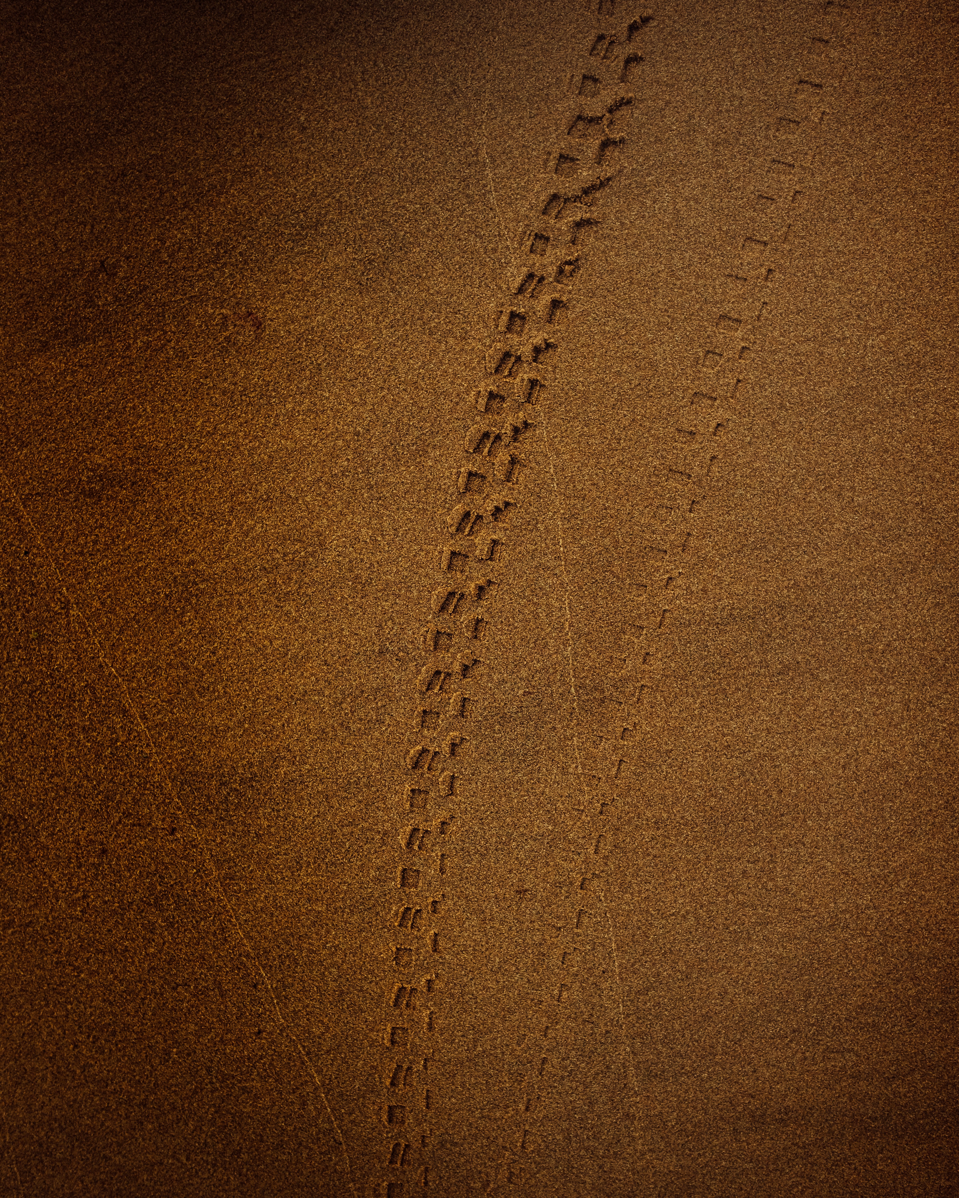 brown, sand, texture, textures, track, trace 4K Ultra