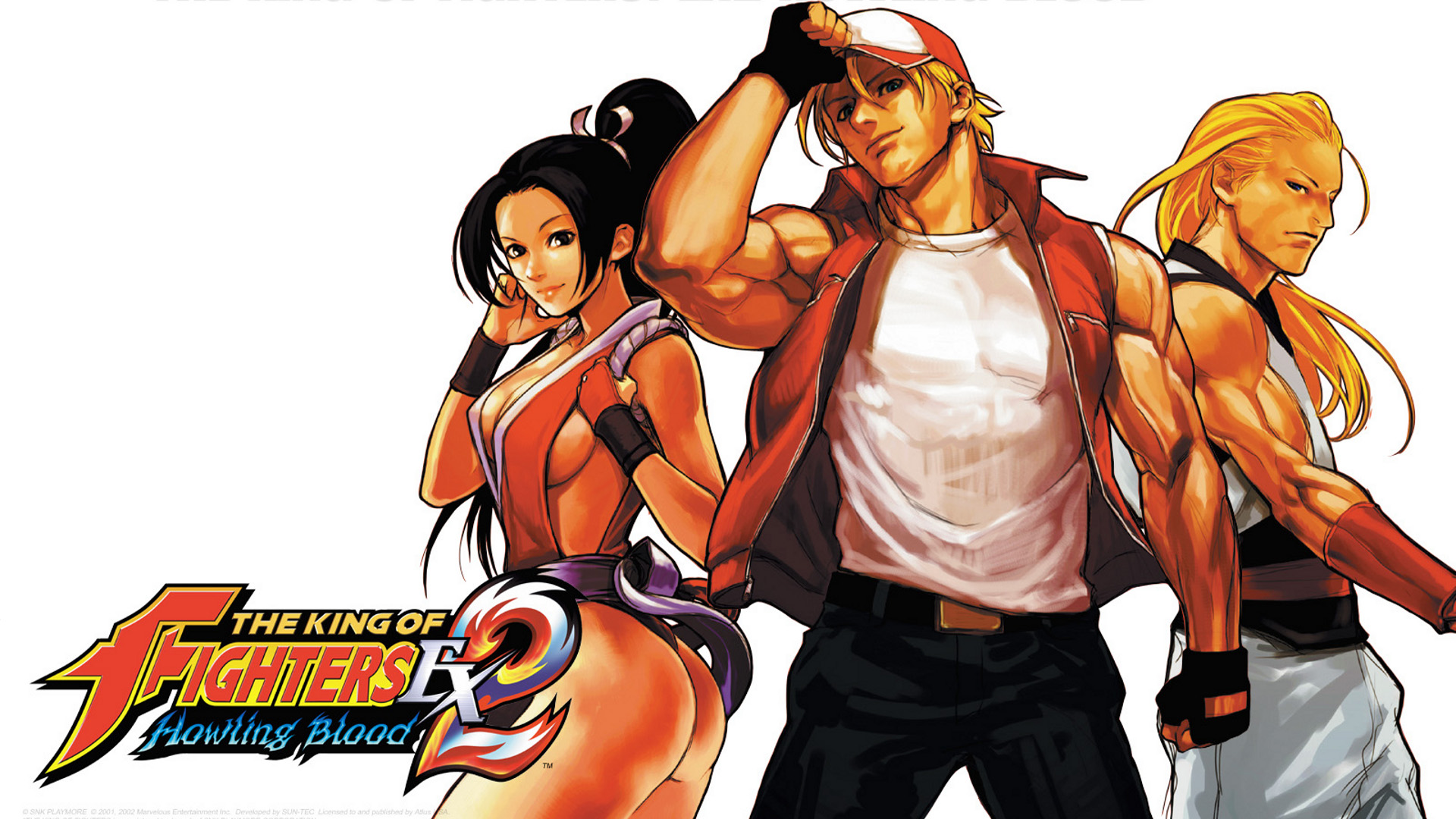 Fatal method. Терри Богард Fatal Fury. Fatal Fury: King of Fighters. Энди Богард и май Сирануи. The King of Fighters Terry Bogard.