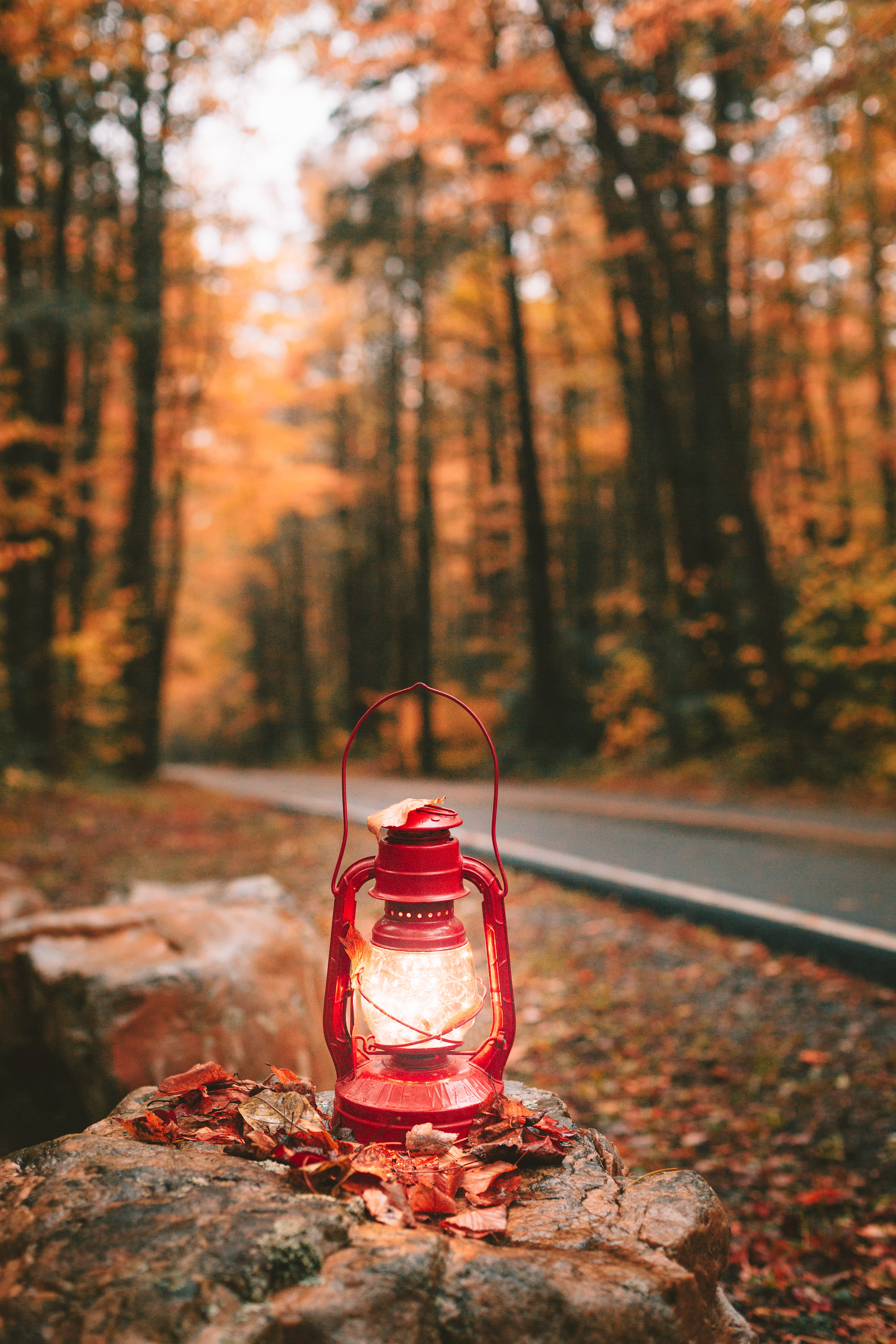 lantern, autumn, red, shine, light, miscellanea, miscellaneous, lamp