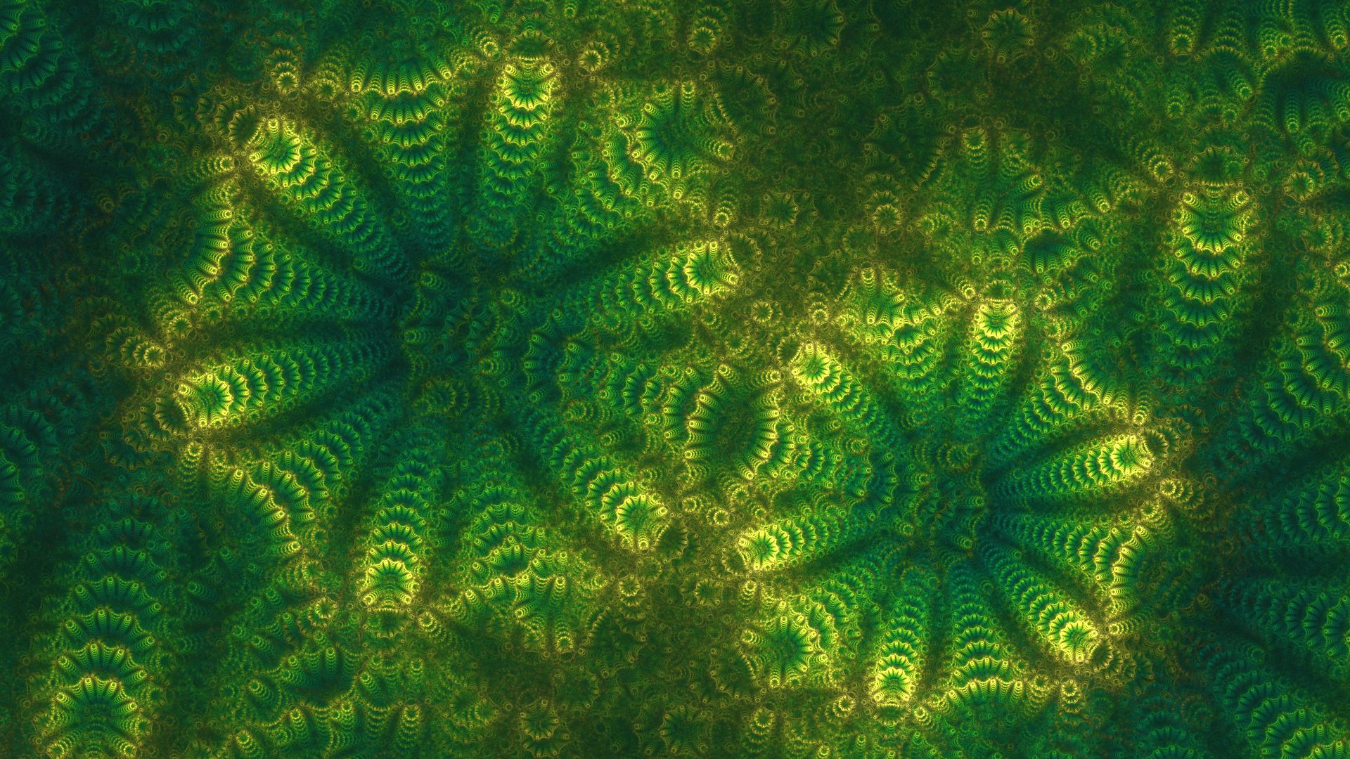 algae, abstract, fractal, green 8K