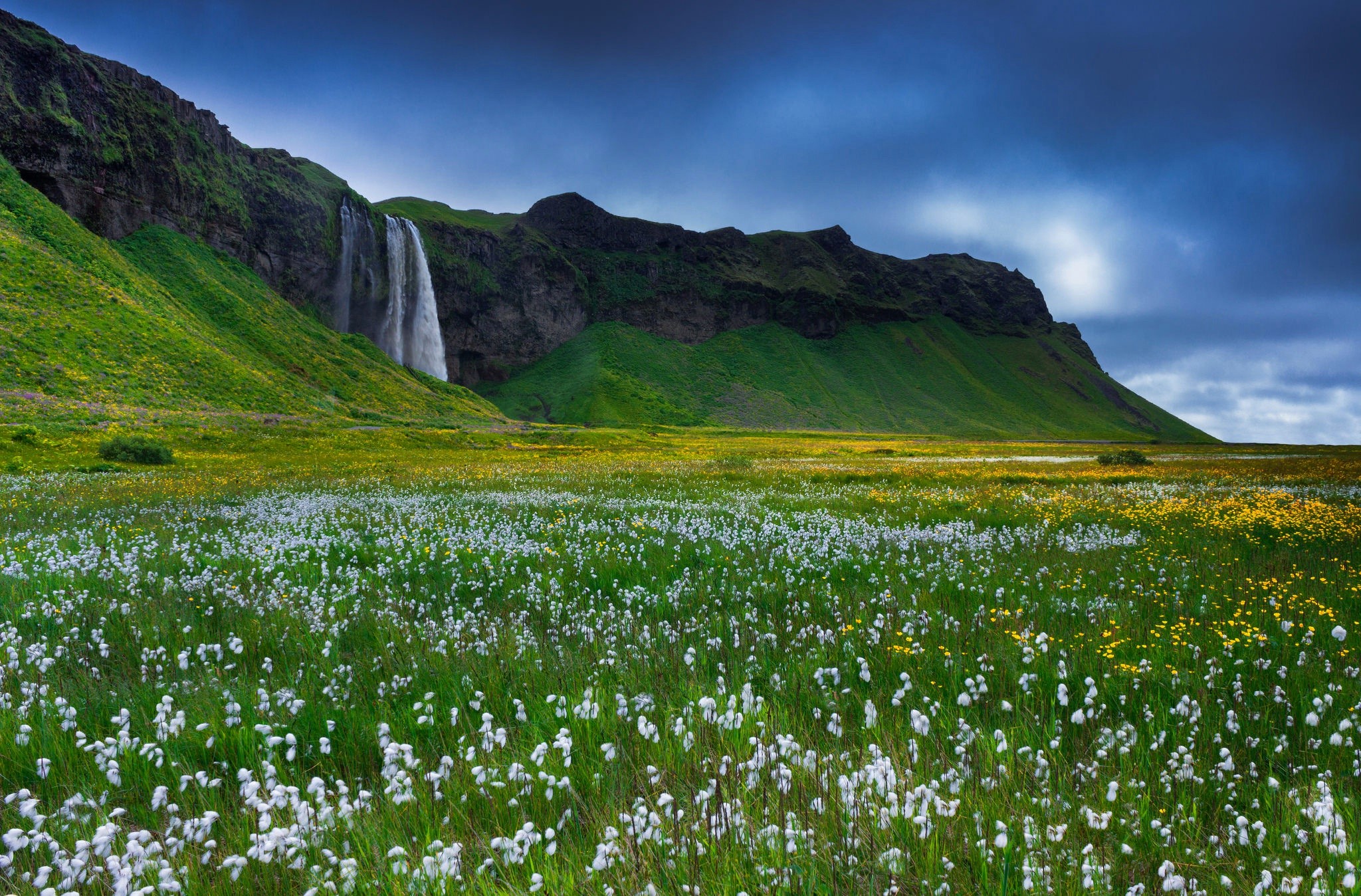 field, earth, seljalandsfoss, flower, iceland, mountain, waterfalls Phone Background