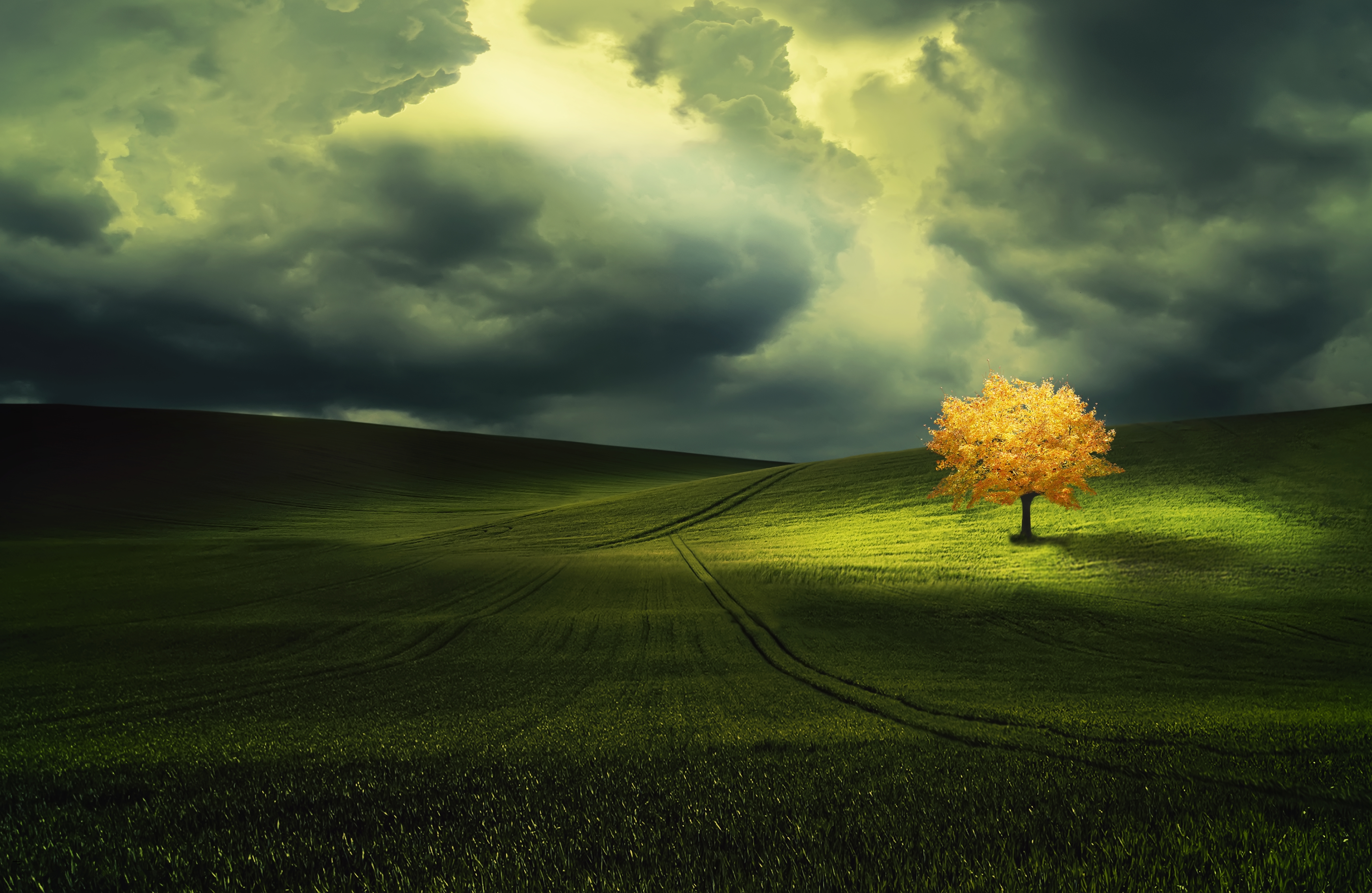Обои на рабочий стол: Деревья, Осень, Облака, Дерево, Зелень, Поле,  Земля/природа, Одинокое Дерево - скачать картинку на ПК бесплатно № 396620