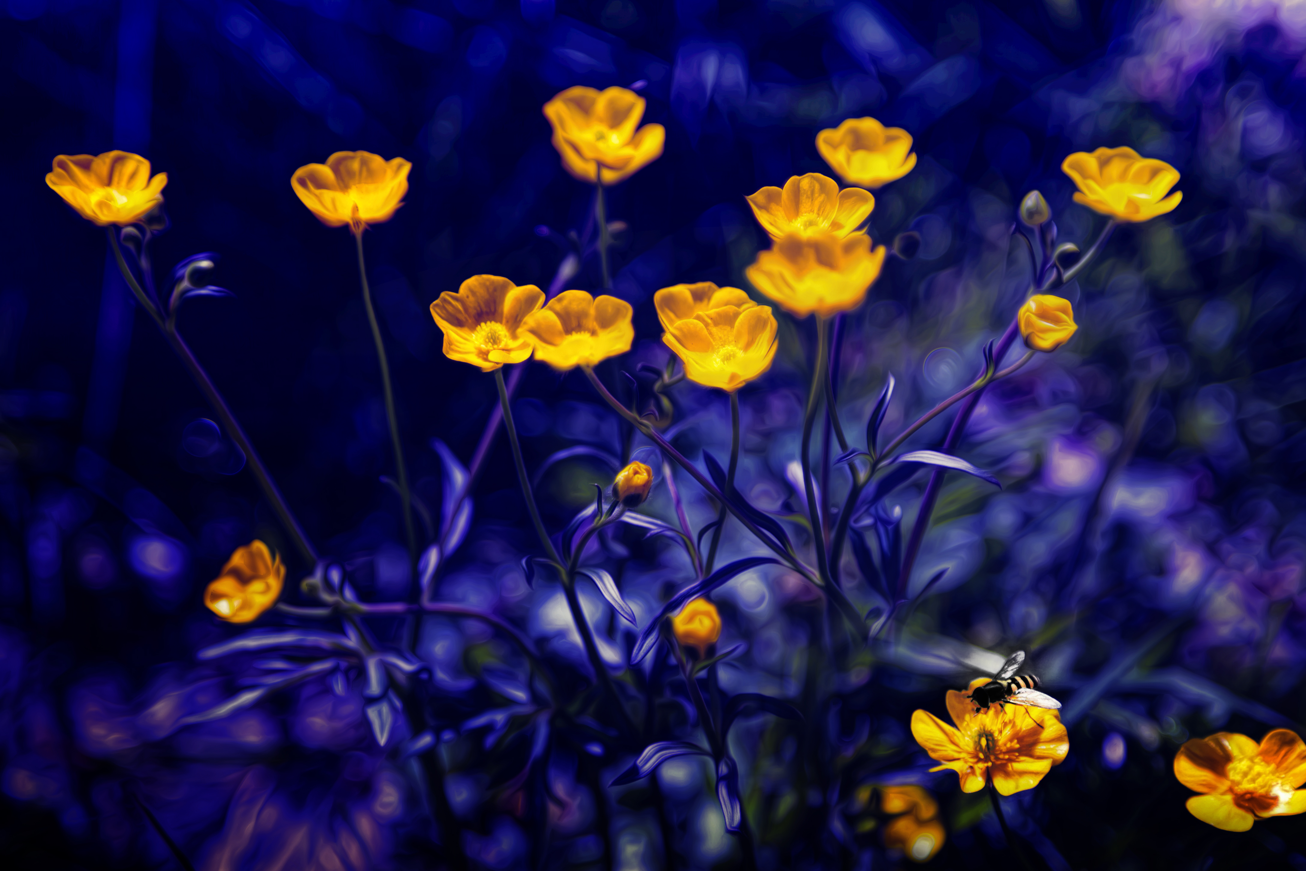 351493 descargar fondo de pantalla tierra/naturaleza, botón de oro, abeja, flor, flores: protectores de pantalla e imágenes gratis