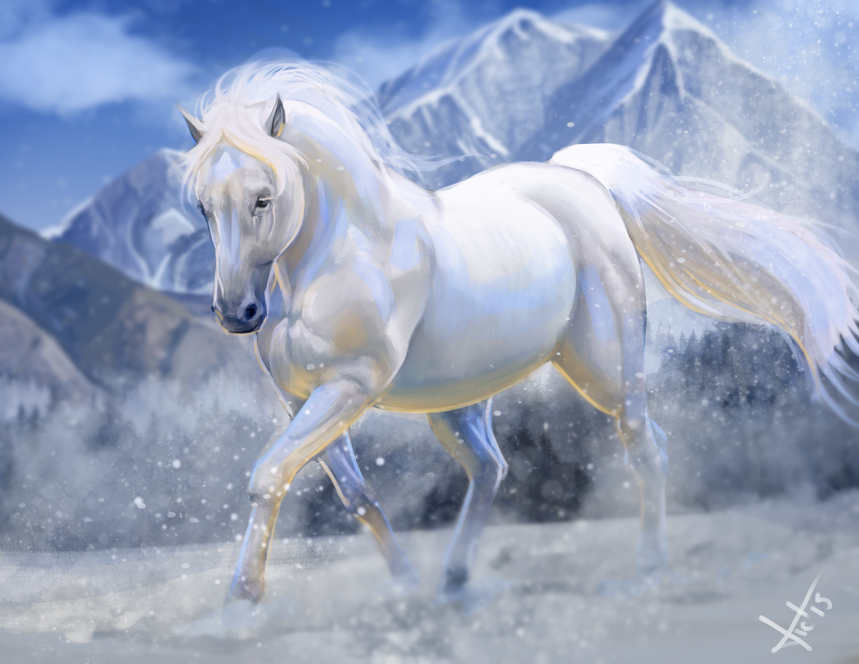 Белоснежные лошадки. Белая лошадь. Красивая белая лошадь. Очень красивые лошади. Обои лошади.