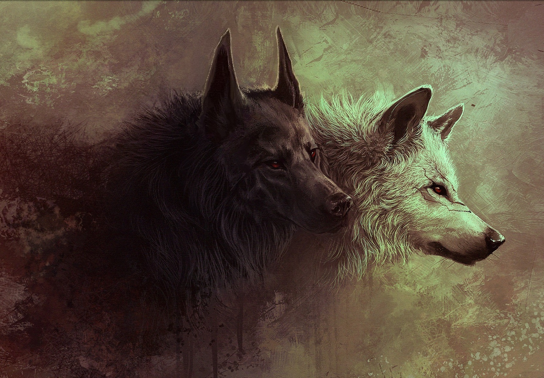 Volk Wolf белый и черный волк