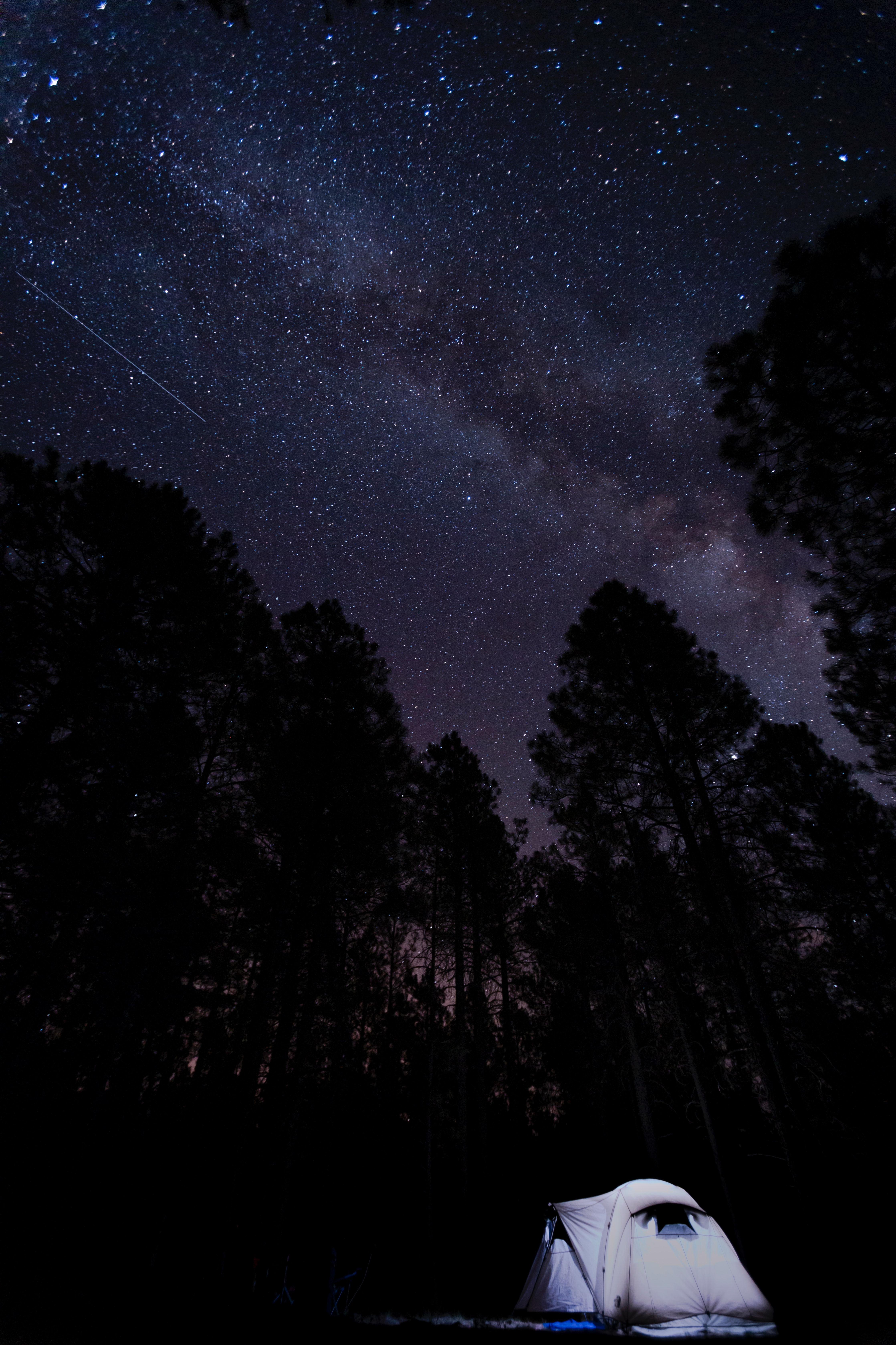 Free download wallpaper Campsite, Trees, Dark, Starry Sky, Night, Tent, Camping on your PC desktop