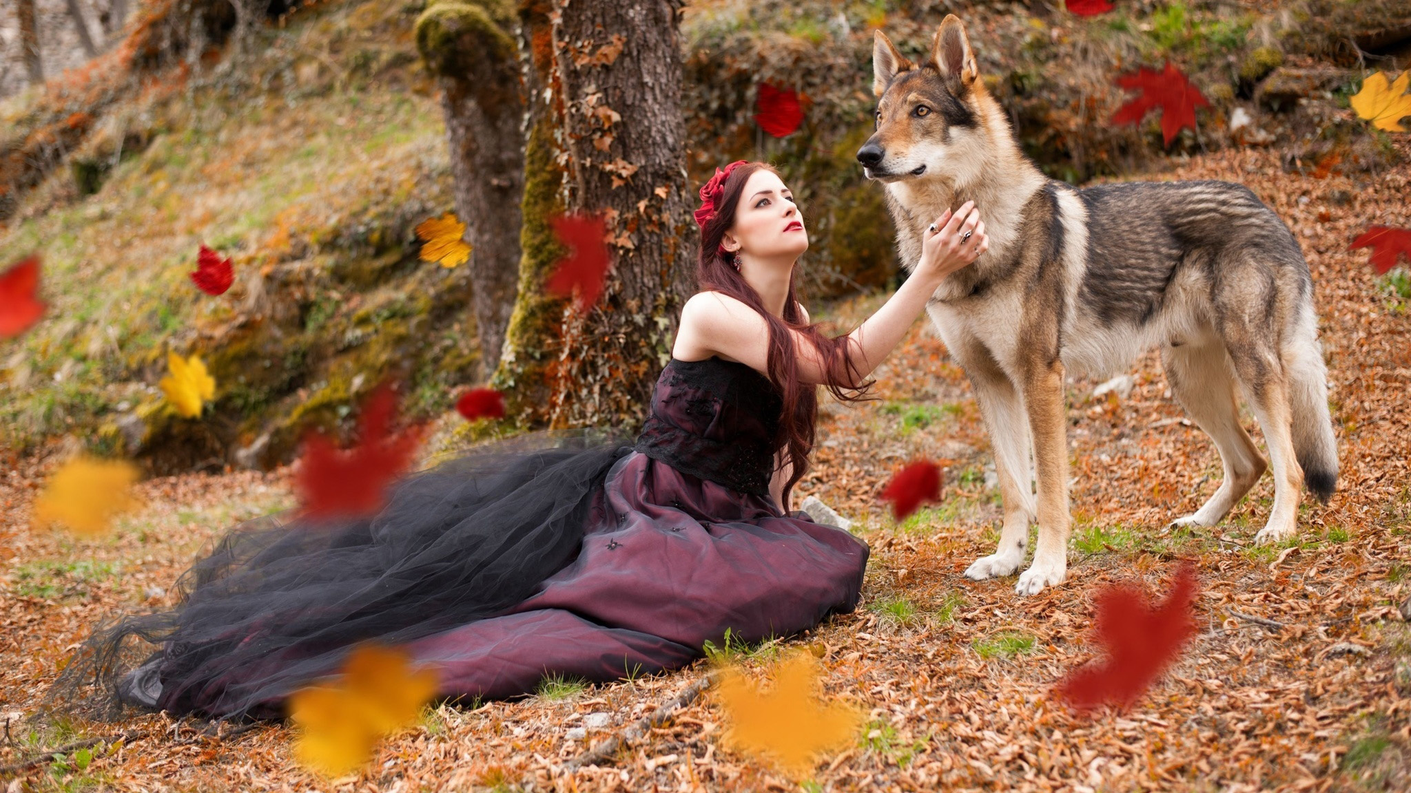 women, model, czechoslovakian wolfdog