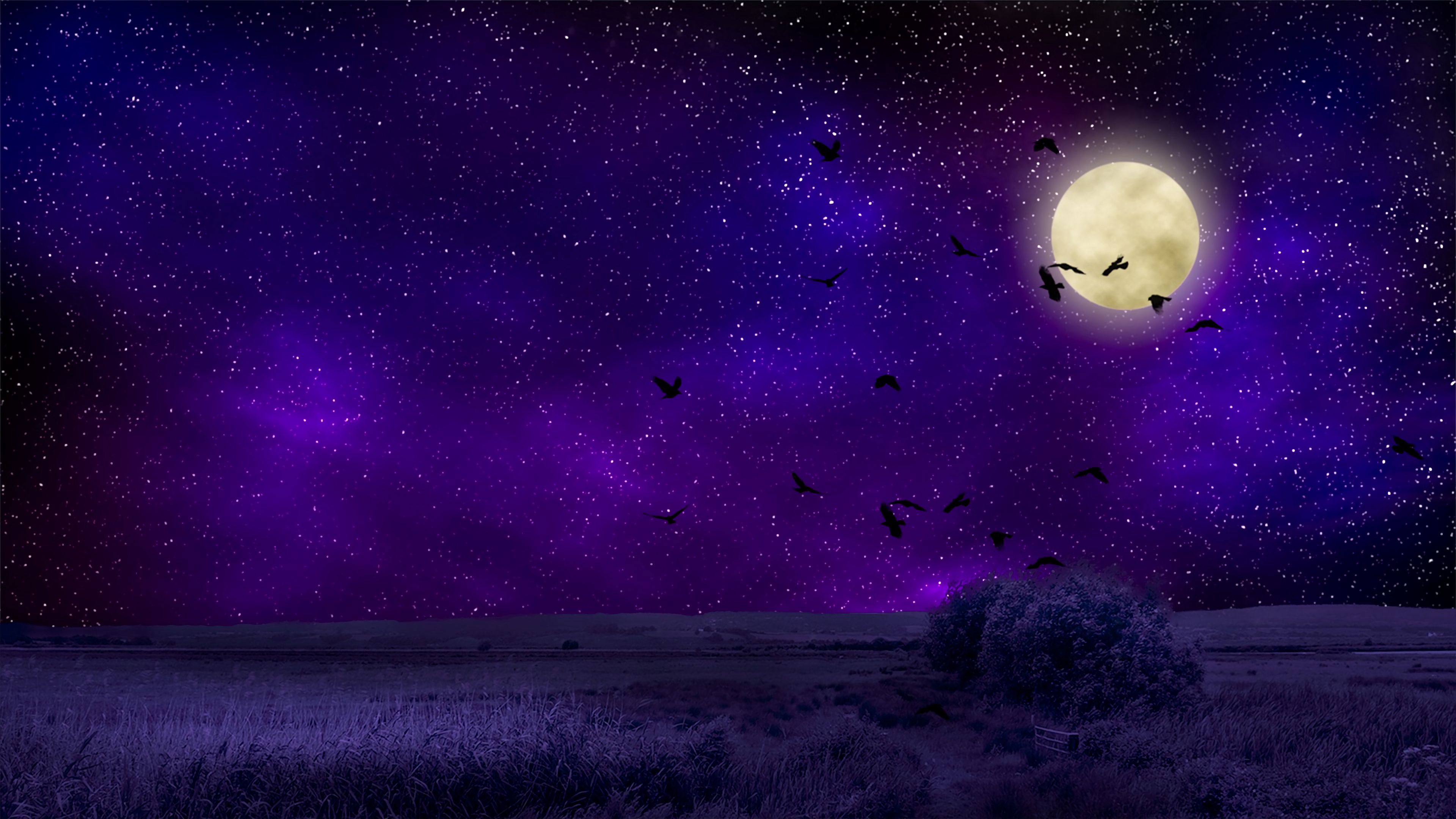 Ночная небо звезды луна. Ночное небо. Фон ночь. Звездное небо. Фиолетовая Луна.