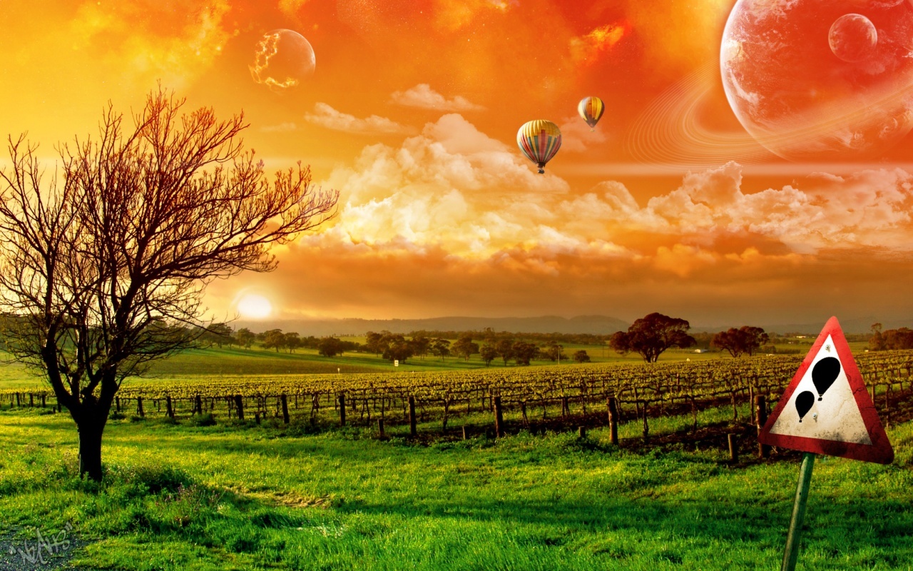 22154 скачать обои воздушные шары, небо, виноград, пейзаж, закат, трава, облака - заставки и картинки бесплатно