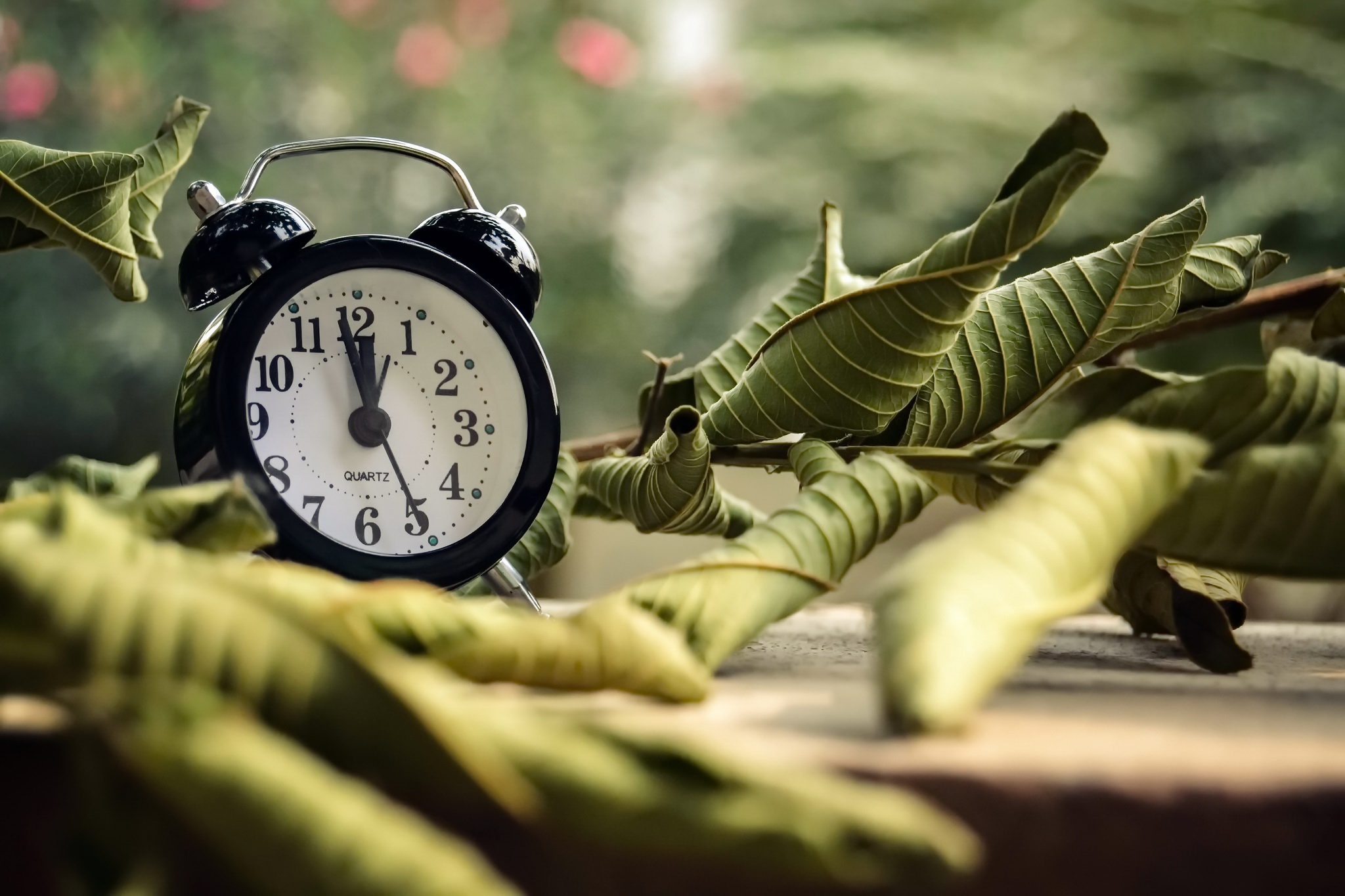 Часы с листьями