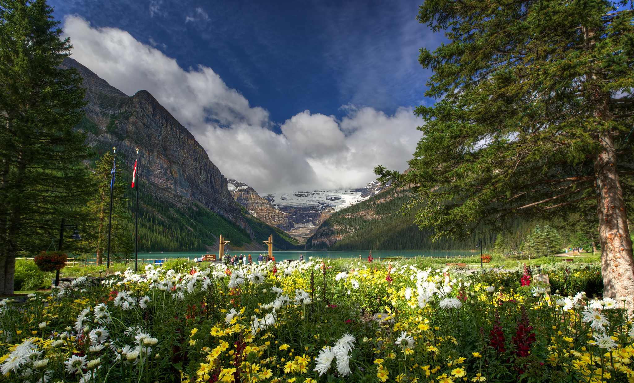 539547画像をダウンロード花, カナダ, 地球, 風光明媚な, バンフ国立公園, レイク ルイーズ, 湖, 山, 自然, 木-壁紙とスクリーンセーバーを無料で