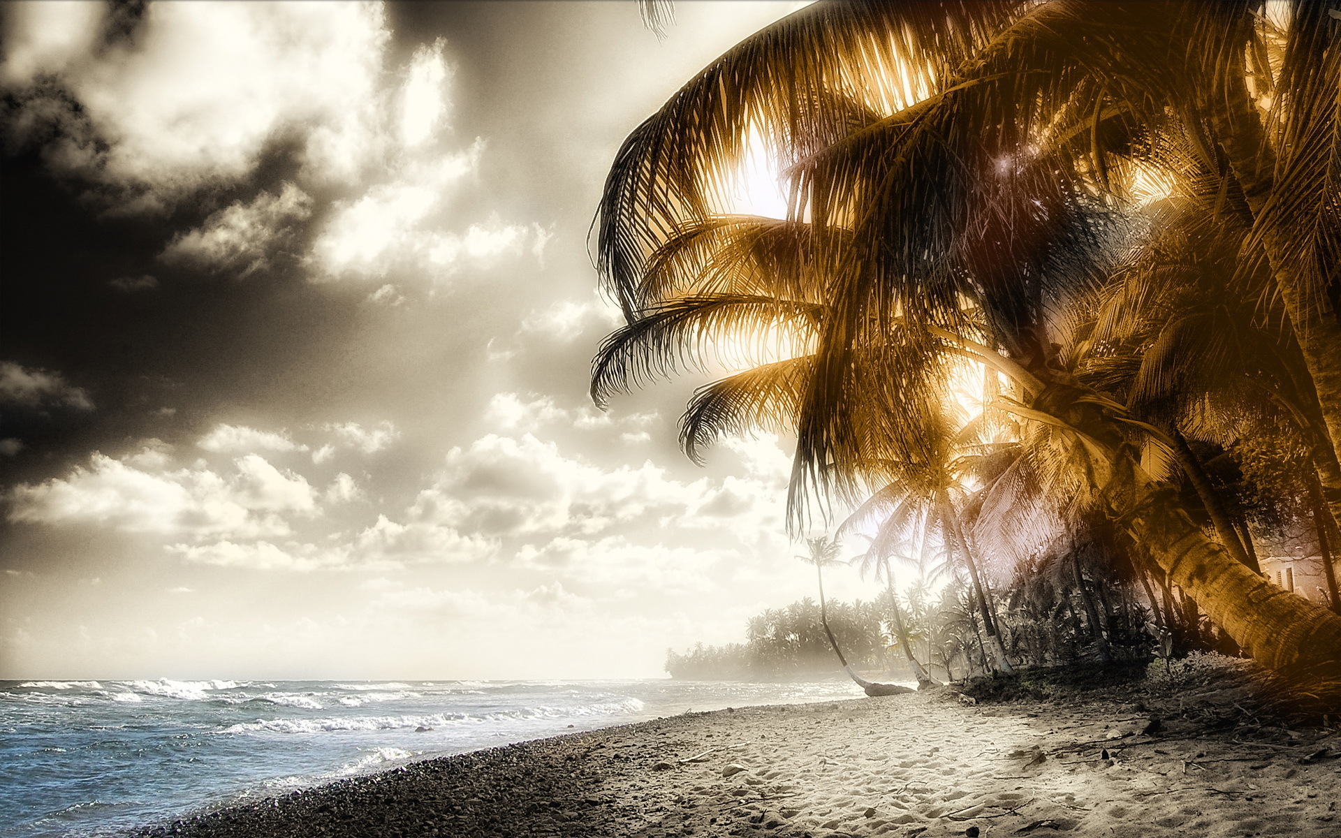 art photo, yellow, landscape, beach, palms HD wallpaper