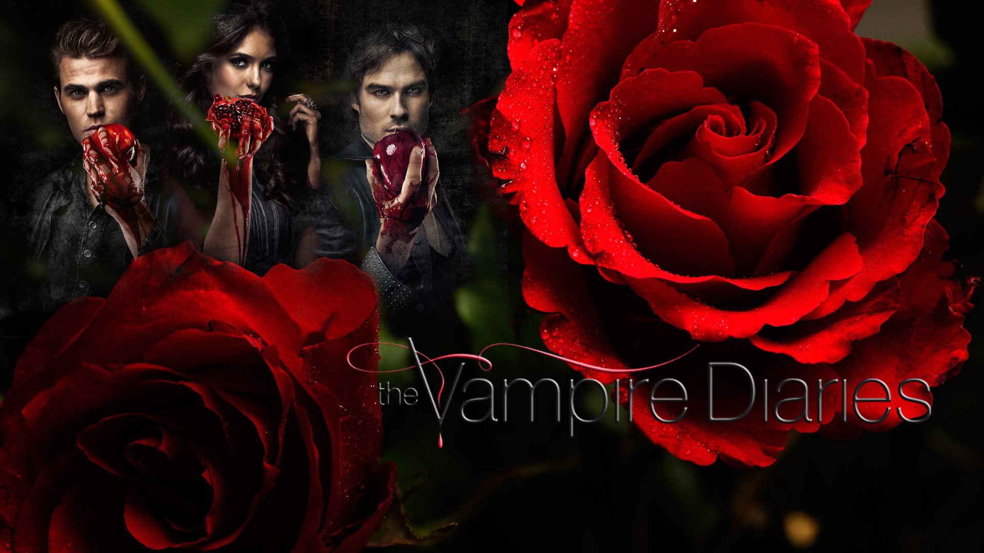 Download mobile wallpaper Halloween, Blood, Flower, Rose, Vampire, Tv Show, Horror, The Vampire Diaries for free.