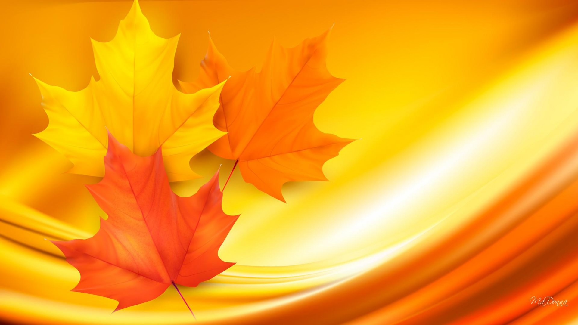 Maple Leaf - Desktop Wallpapers, Phone Wallpaper, PFP, Gifs, and More!