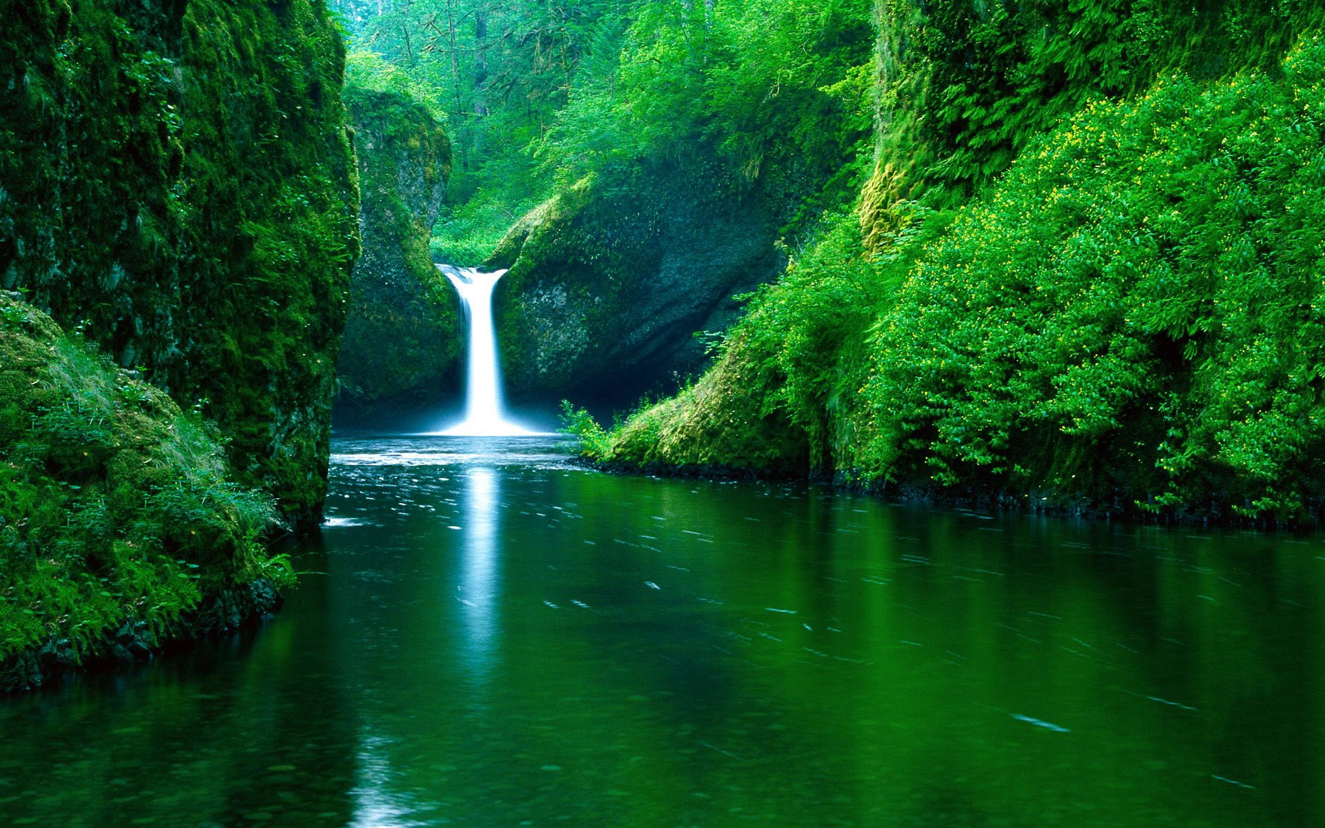 greenery, nature, waterfalls, water, earth, waterfall Smartphone Background
