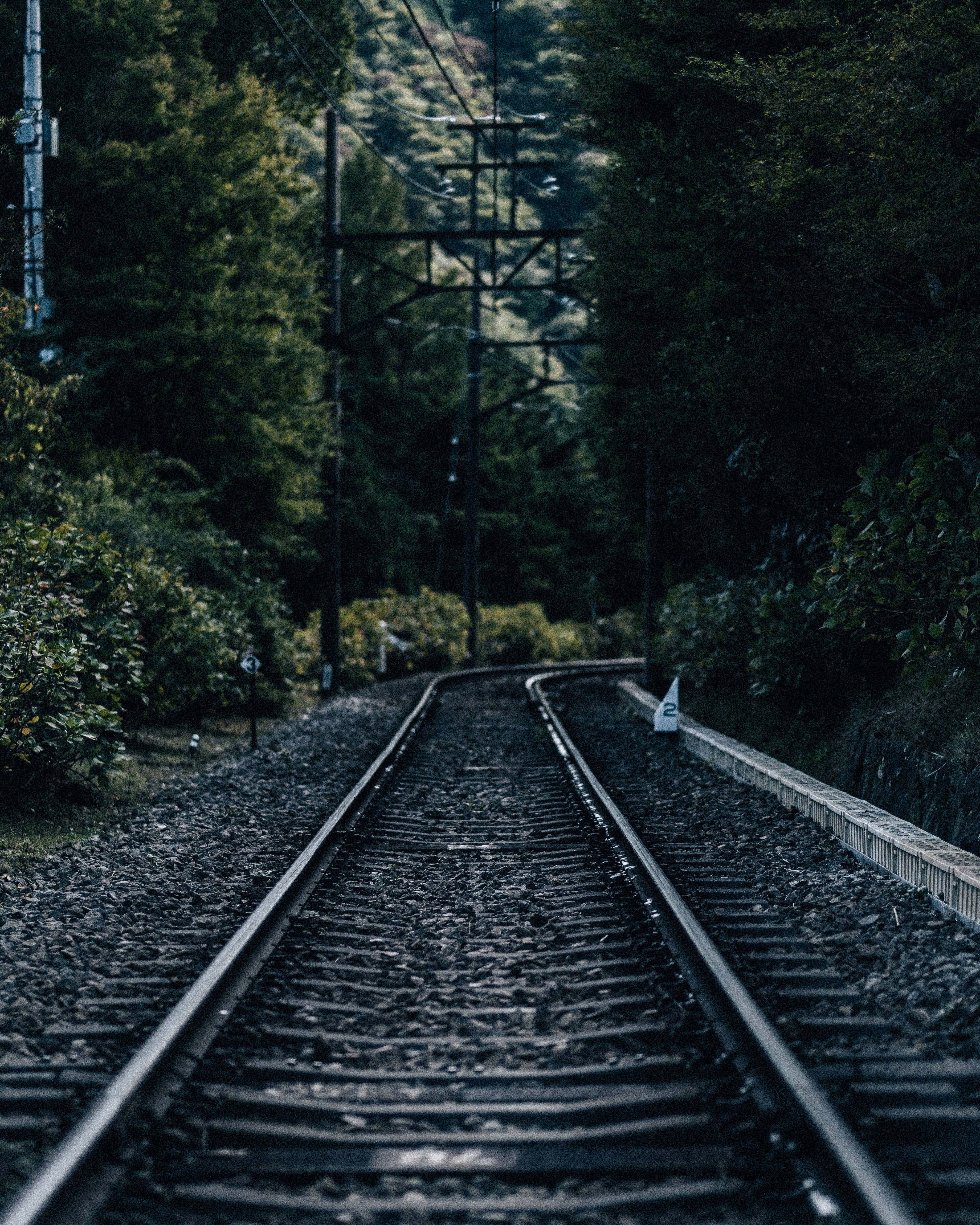 Download mobile wallpaper Dahl, Distance, Trees, Nature, Rails, Railway for free.