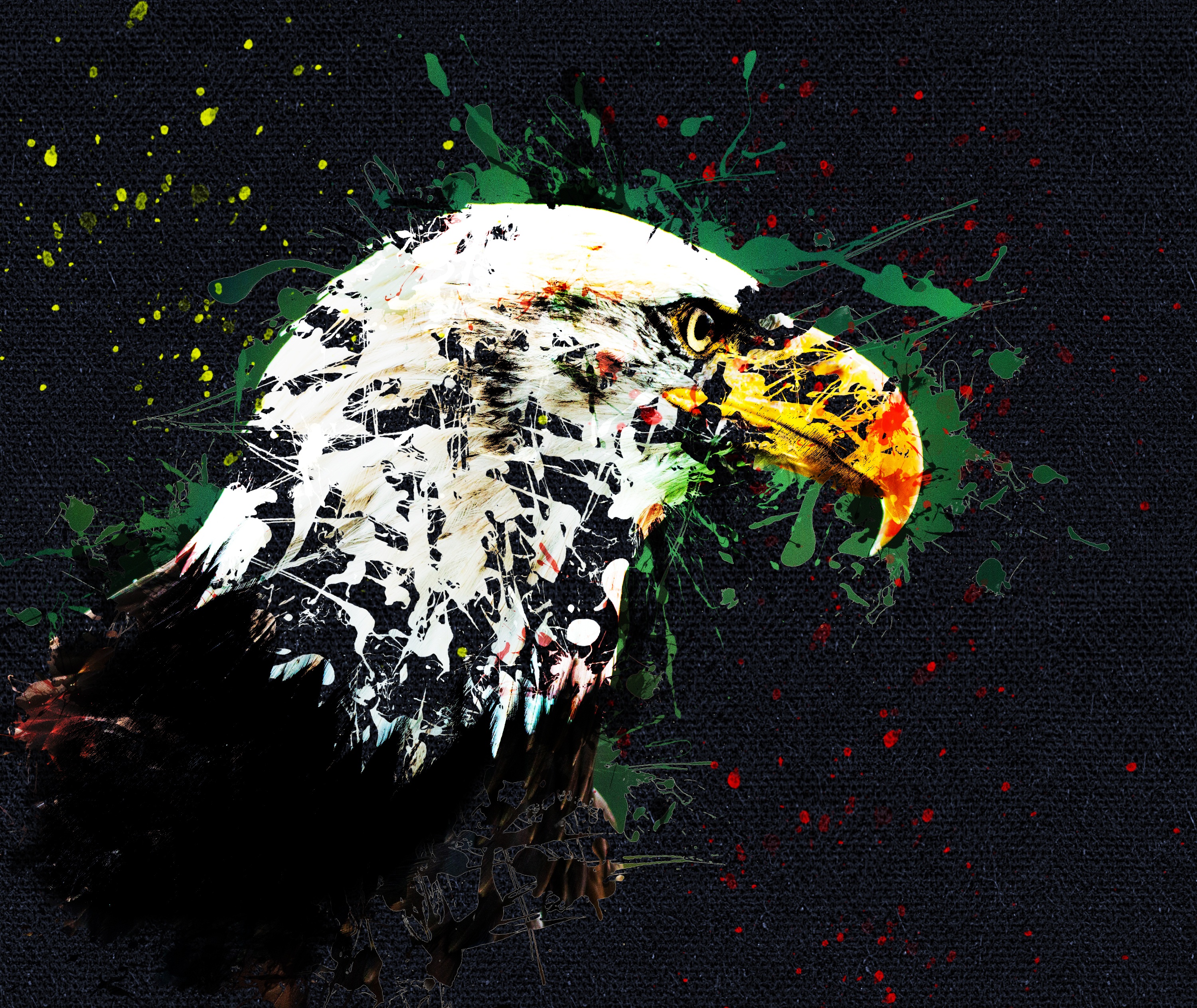 Free download wallpaper Art, Beak, Eagle on your PC desktop