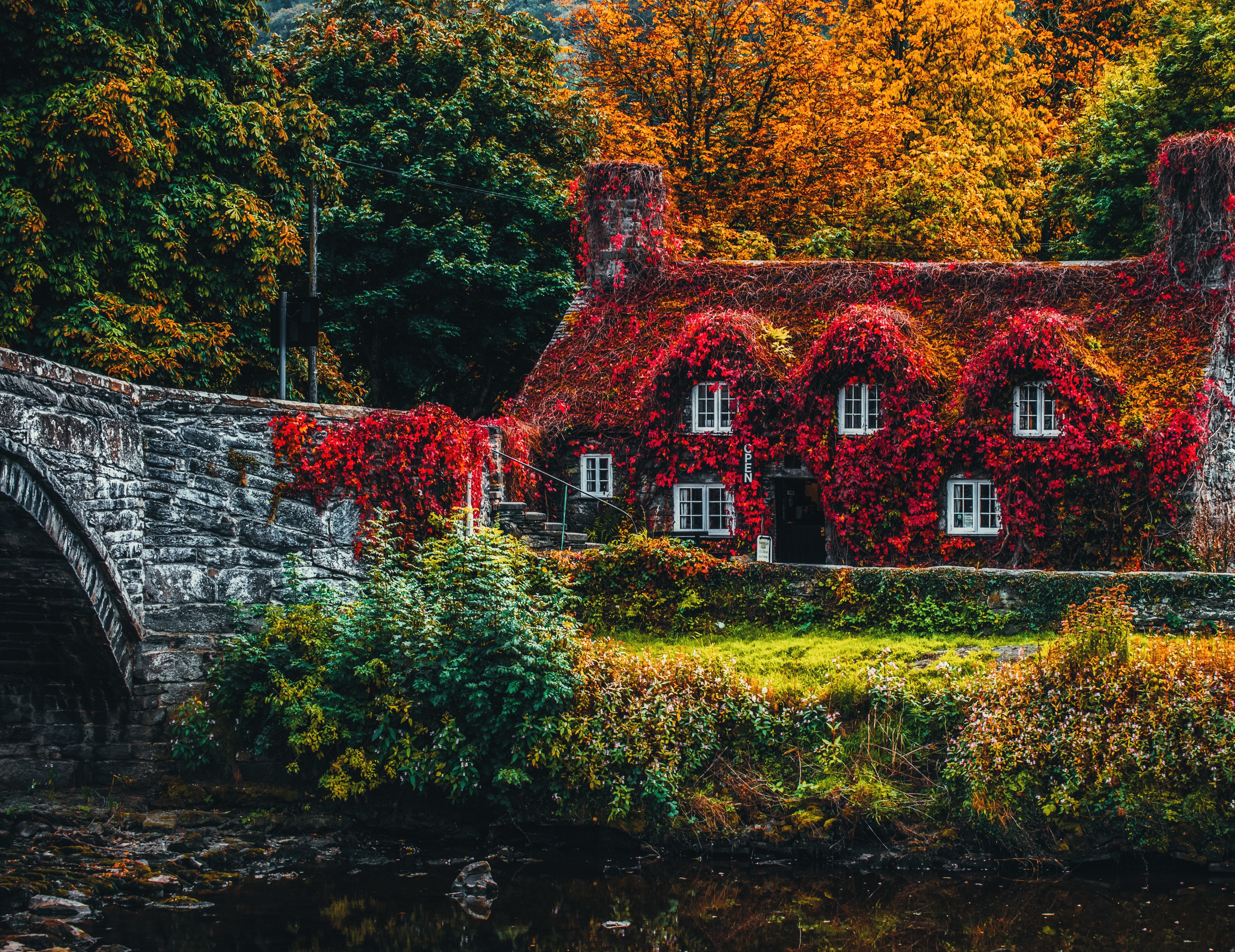 134737壁紙のダウンロード葉, 小さな家, 秋, 自然, 川, 泊める, 木の葉, 秋の色, 秋の絵の具-スクリーンセーバーと写真を無料で