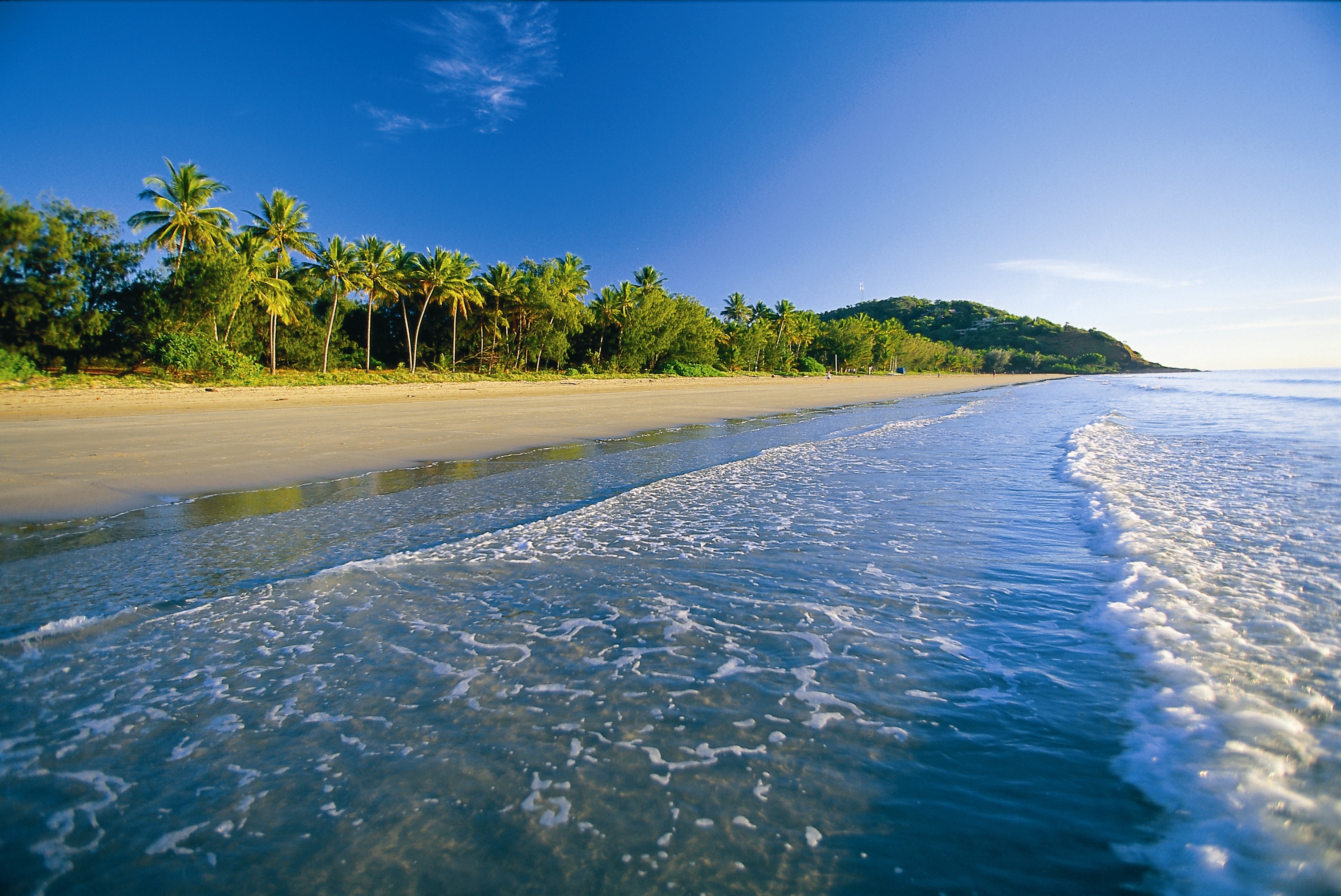62554 Hintergrundbild herunterladen tropen, strand, natur, sea, sand, palms, schaum - Bildschirmschoner und Bilder kostenlos
