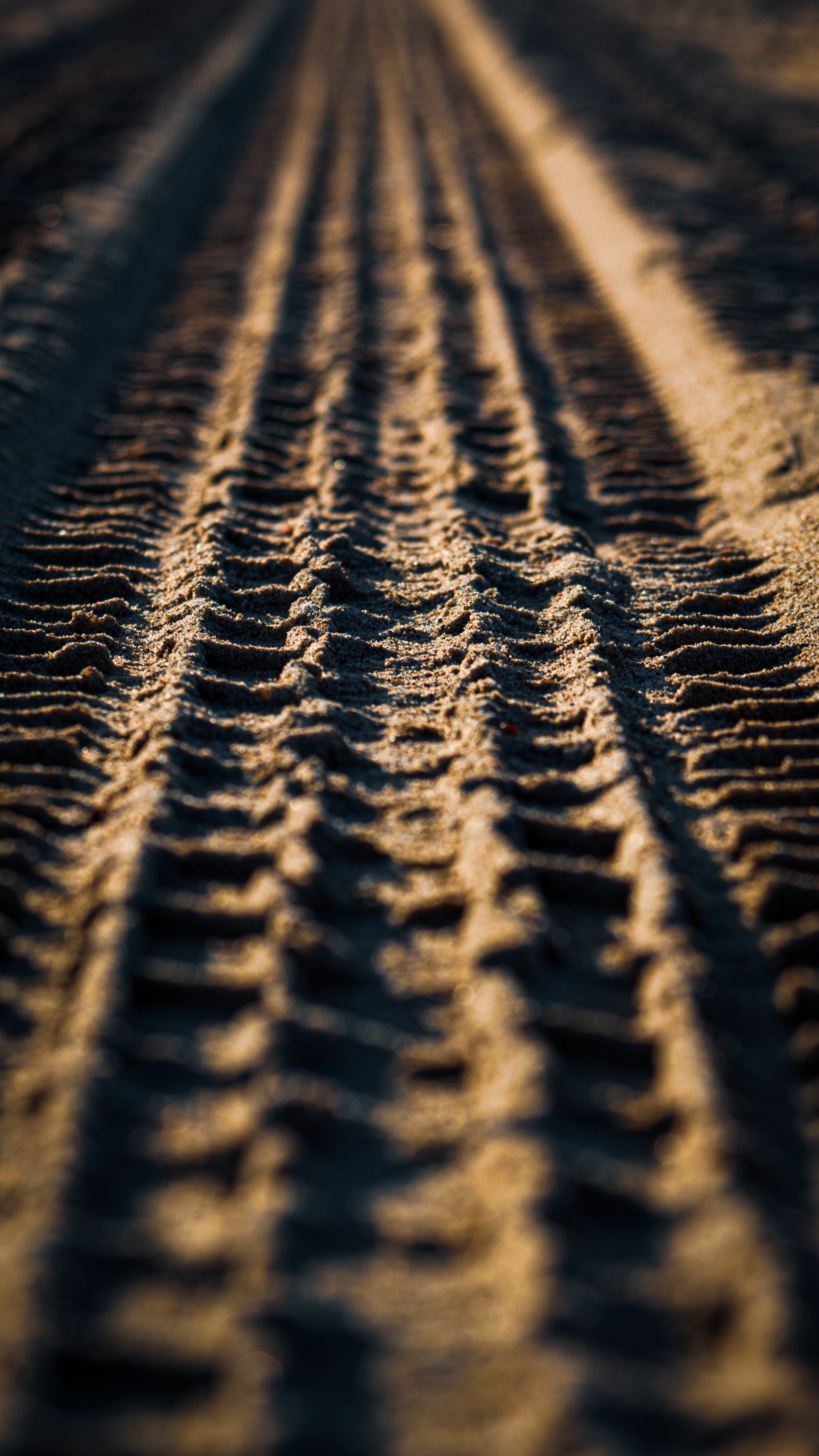 sand, macro, texture, close up, track, trace
