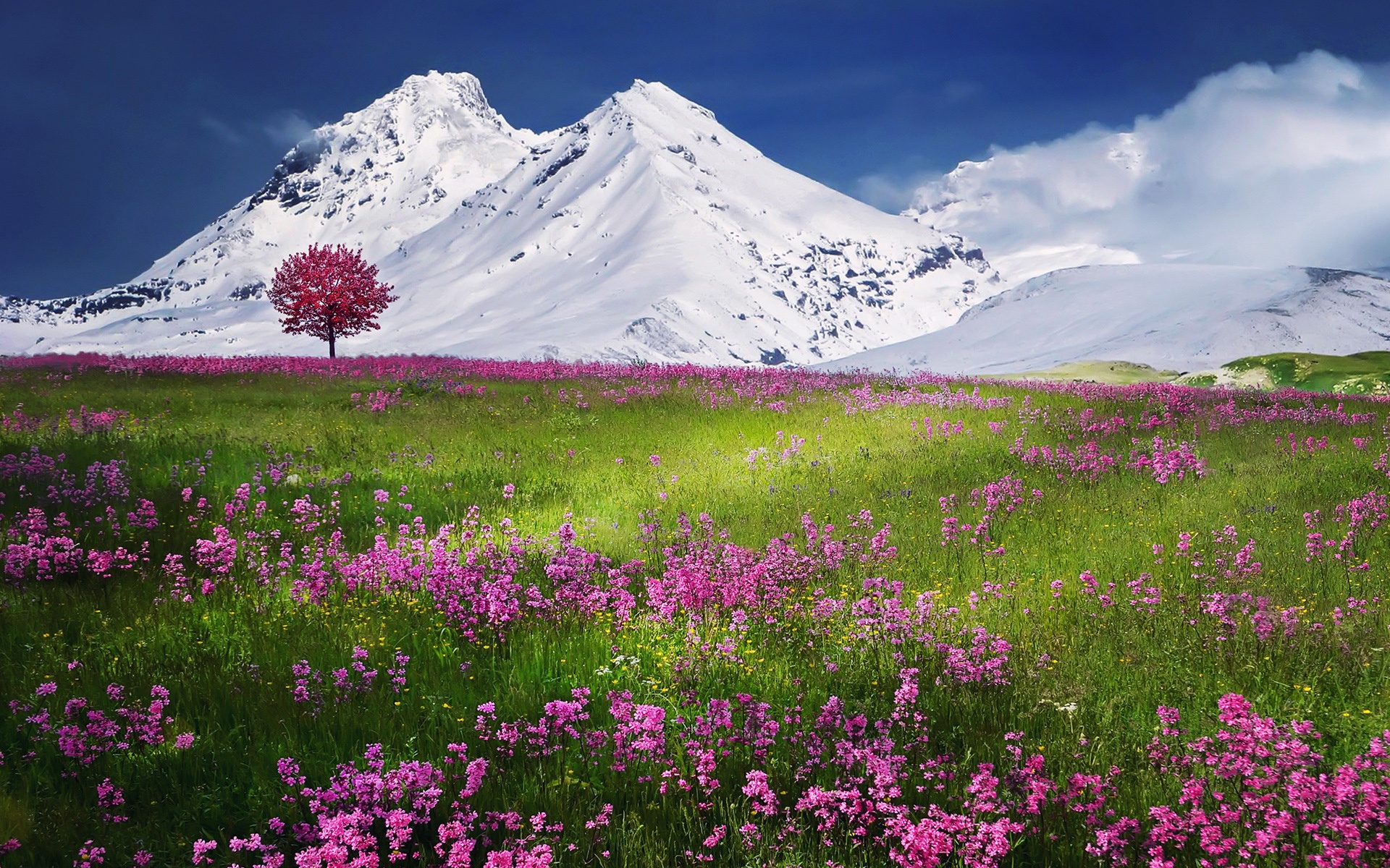 Весна в Альпах