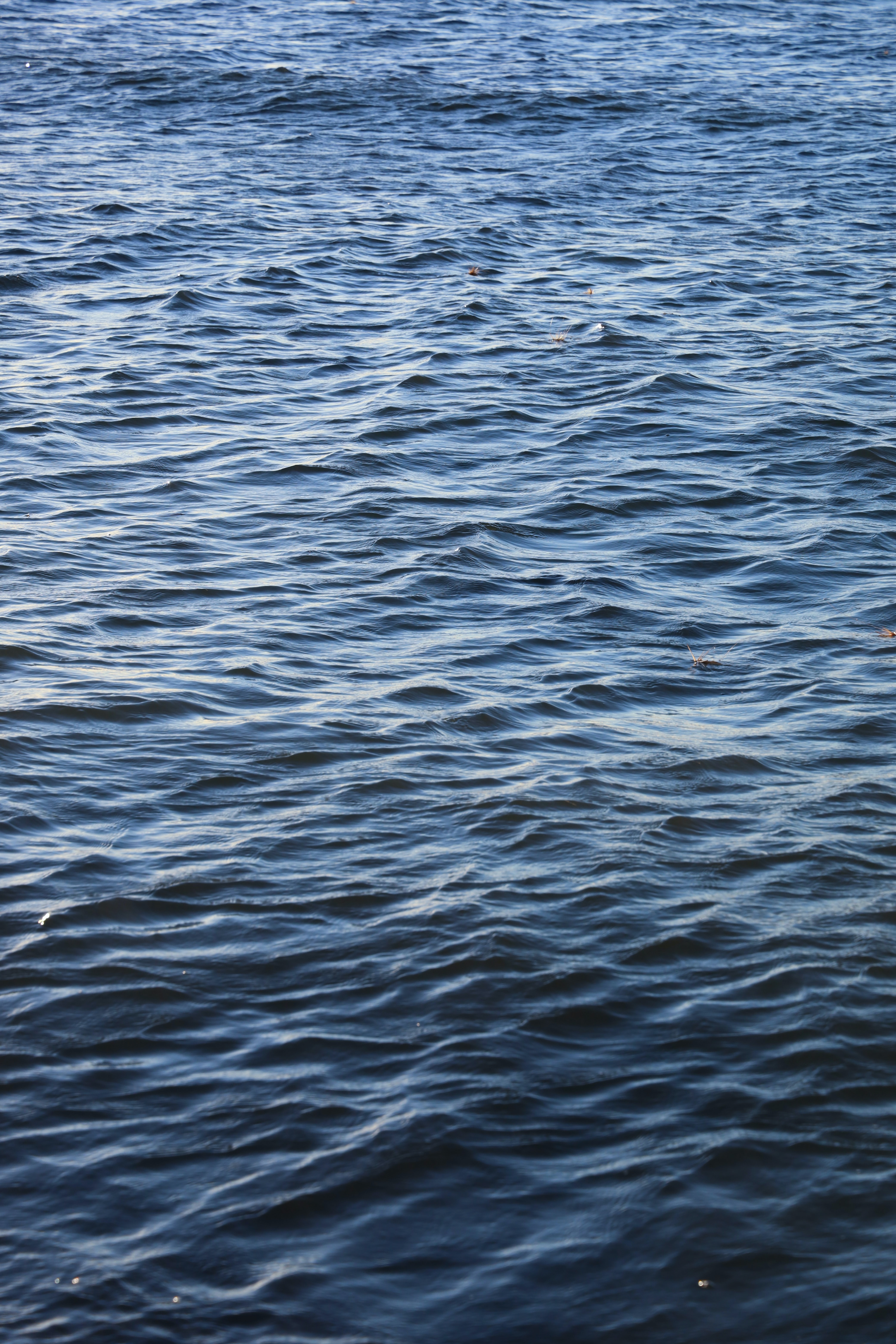 android texture, water, sea, waves, glare, ripples, ripple, textures