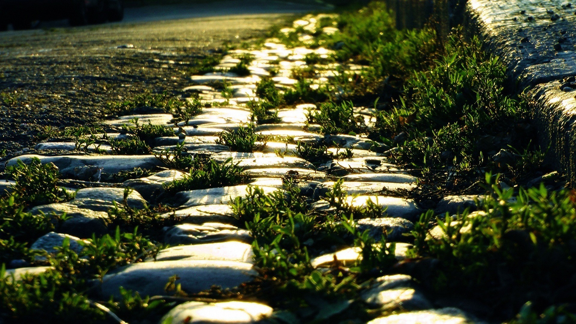 earth, path, close up, cobblestone, light, reflection, road, street download HD wallpaper
