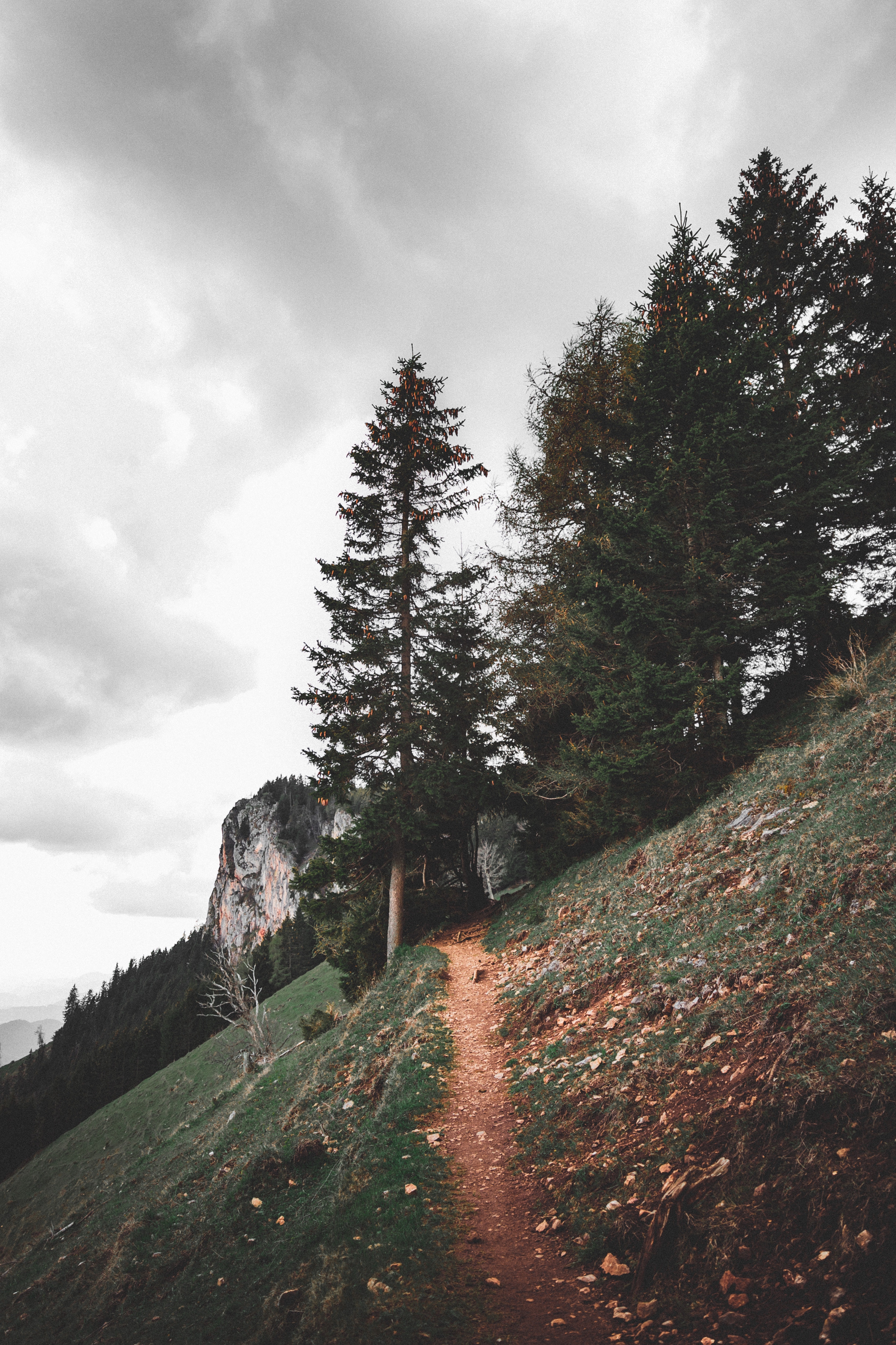 Download mobile wallpaper Vertex, Top, Path, Climb, Lift, Trees, Nature, Landscape for free.