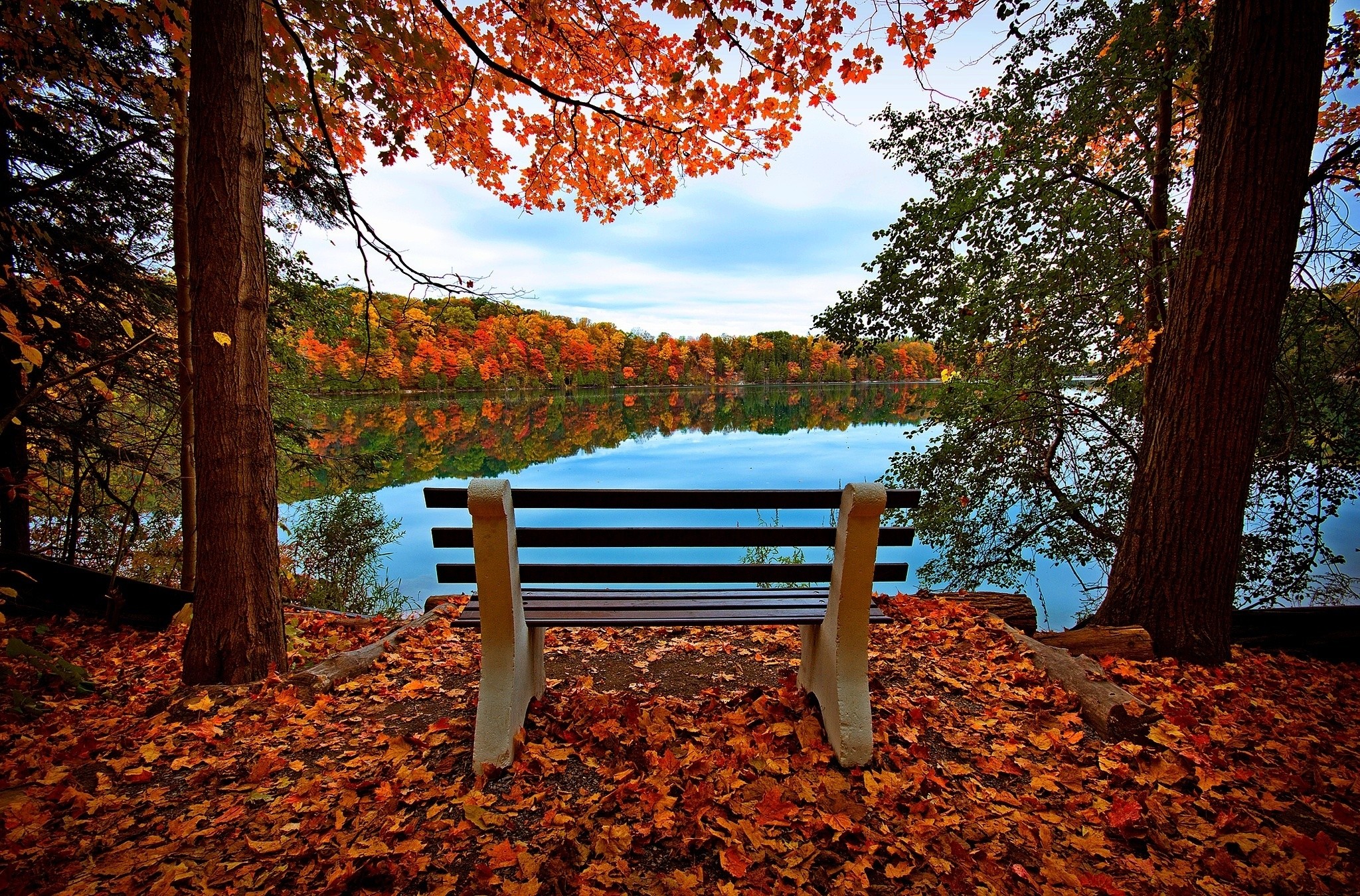 Download mobile wallpaper Rivers, Trees, Autumn, Nature, Bench, Lake for free.