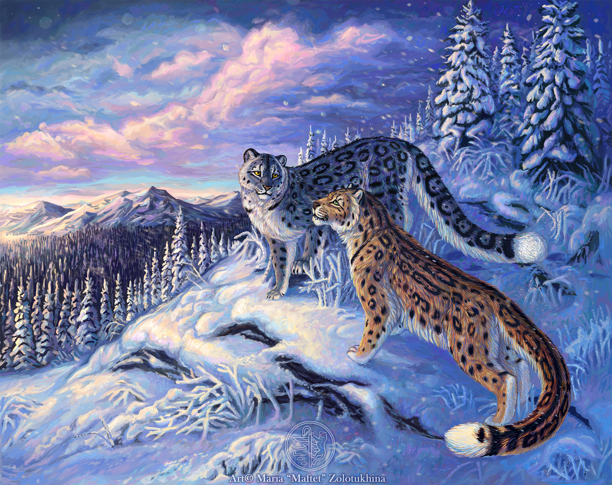 298057 завантажити шпалери тварина, сніговий леопард, снігові барси, коти - заставки і картинки безкоштовно