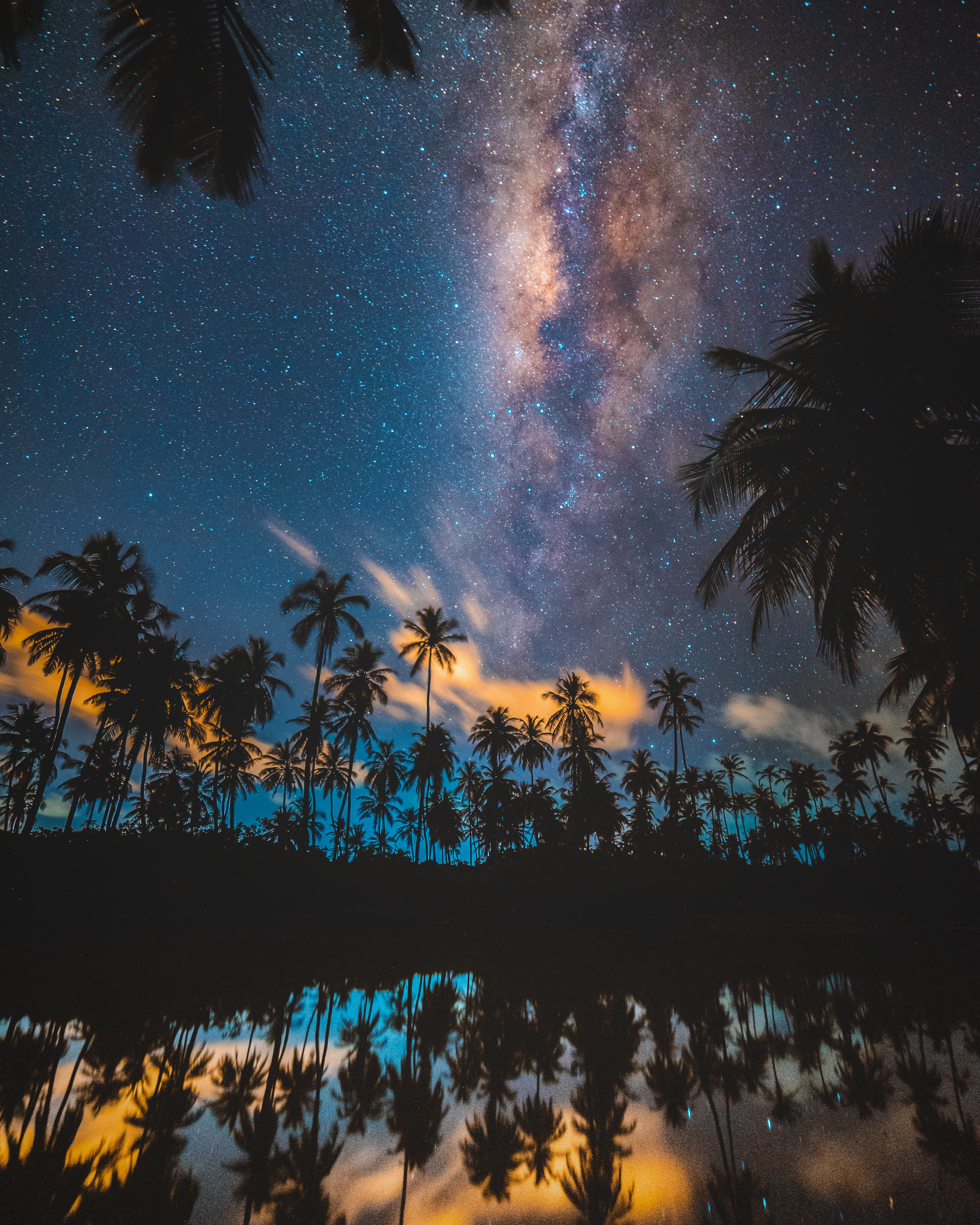 stars, nature, night, palms, starry sky, milky way HD wallpaper