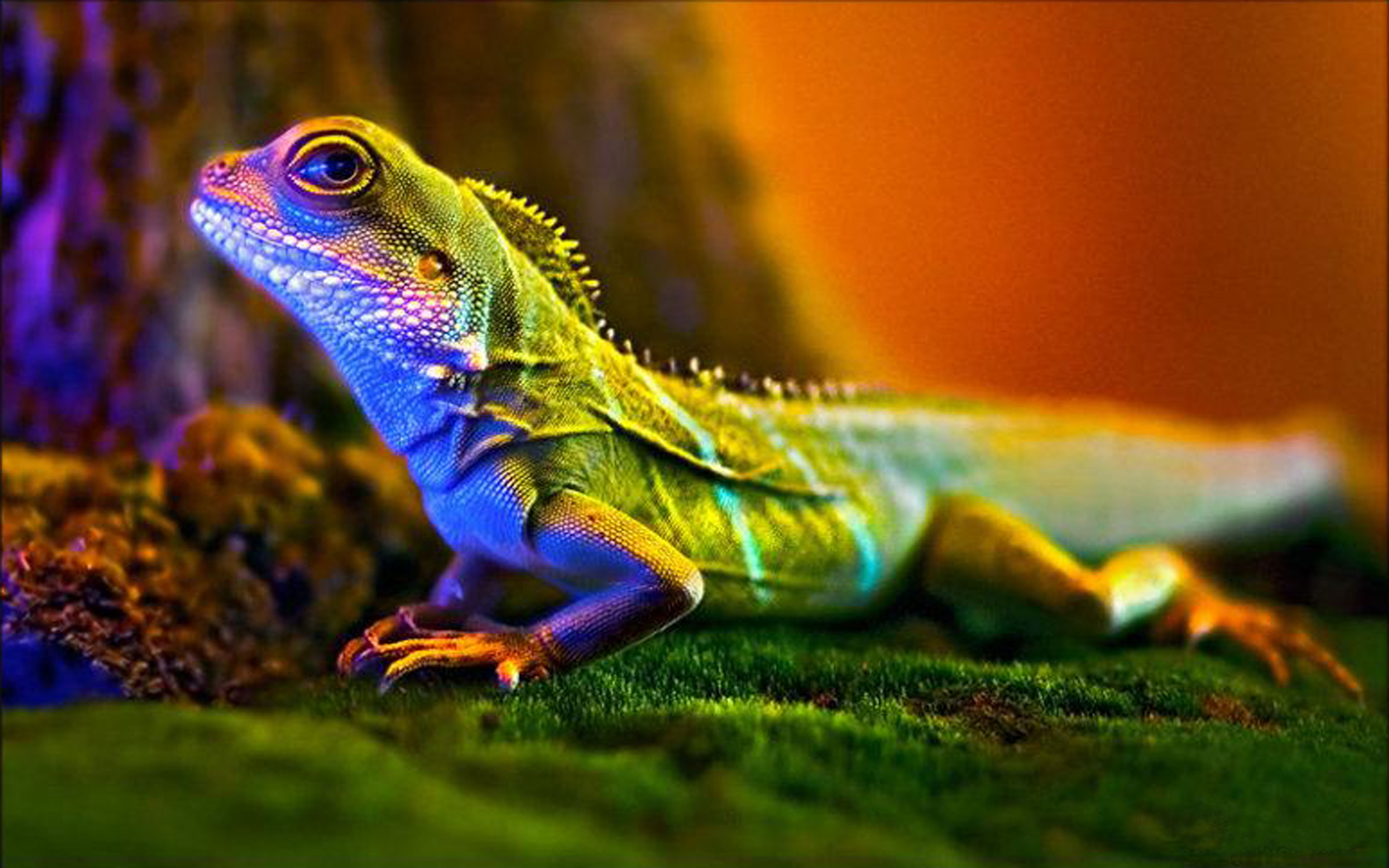 Pink Lizard Sitting On A Cloud Over A Blue Sky Background, Reptile, Pink  Fur, Cotton Candy Clouds Background Image And Wallpaper for Free Download