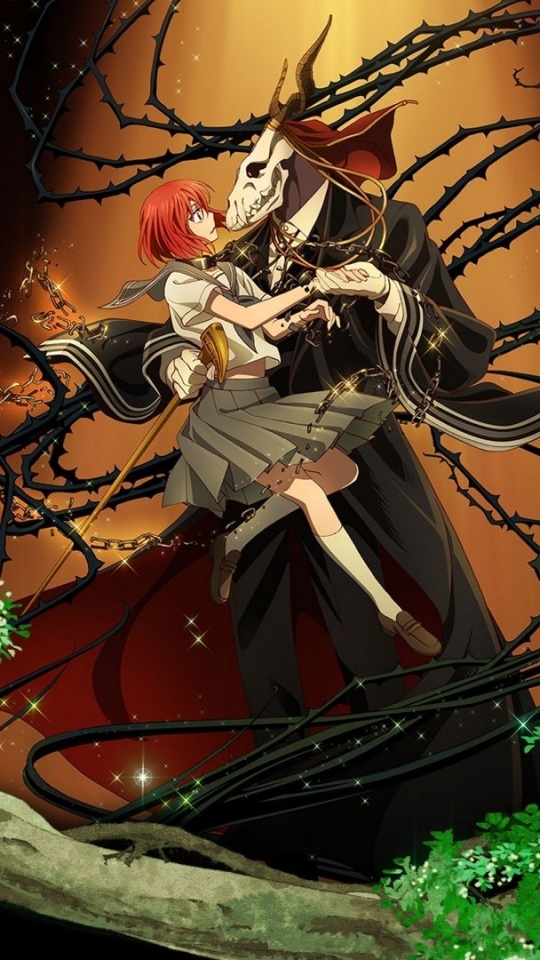 Chise Hatori/Gallery in 2023  Ancient magus bride, Aesthetic anime, Anime