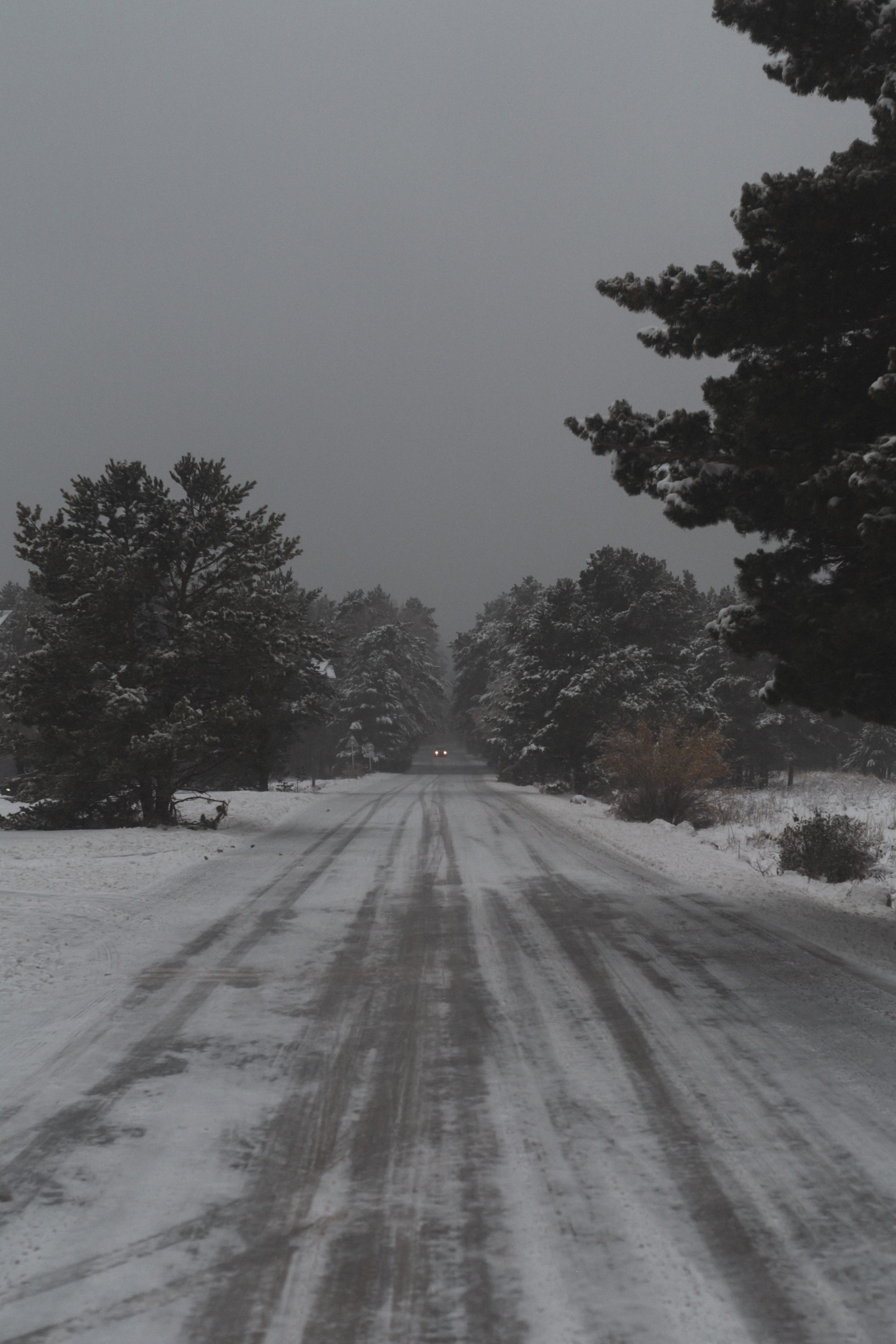 127270 скачать обои заснеженный, снег, деревья, дорога, природа, зима - заставки и картинки бесплатно