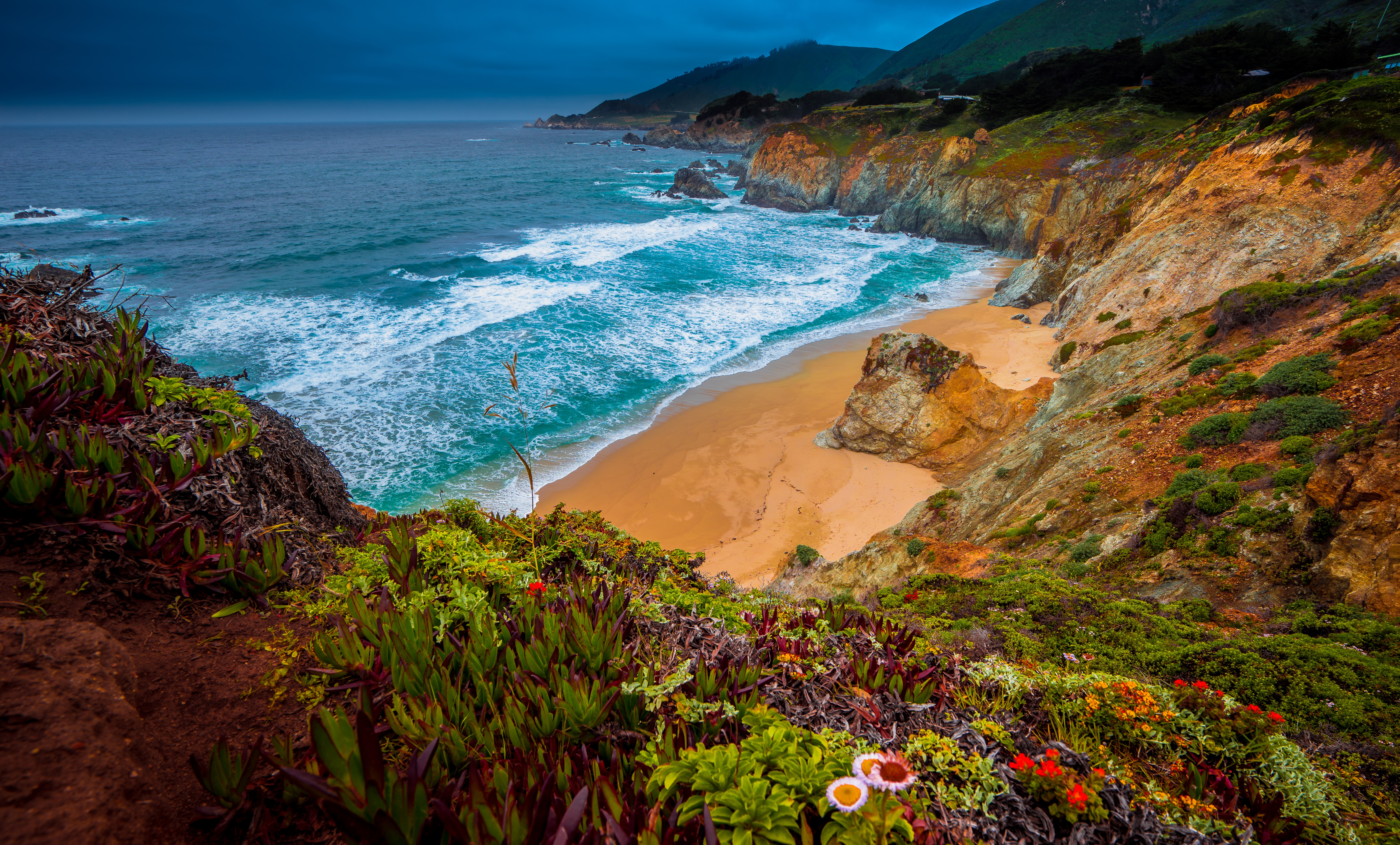 beach, earth, big sur, california, coast, flower, julia pfeiffer burns state park, ocean, pacific ocean iphone wallpaper