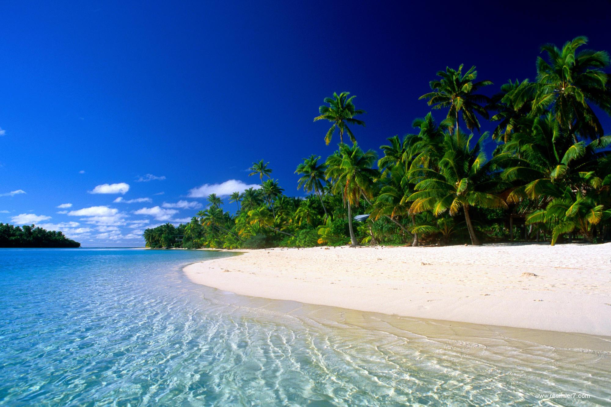 beach, palm tree, sky, earth, sand, tropics Full HD